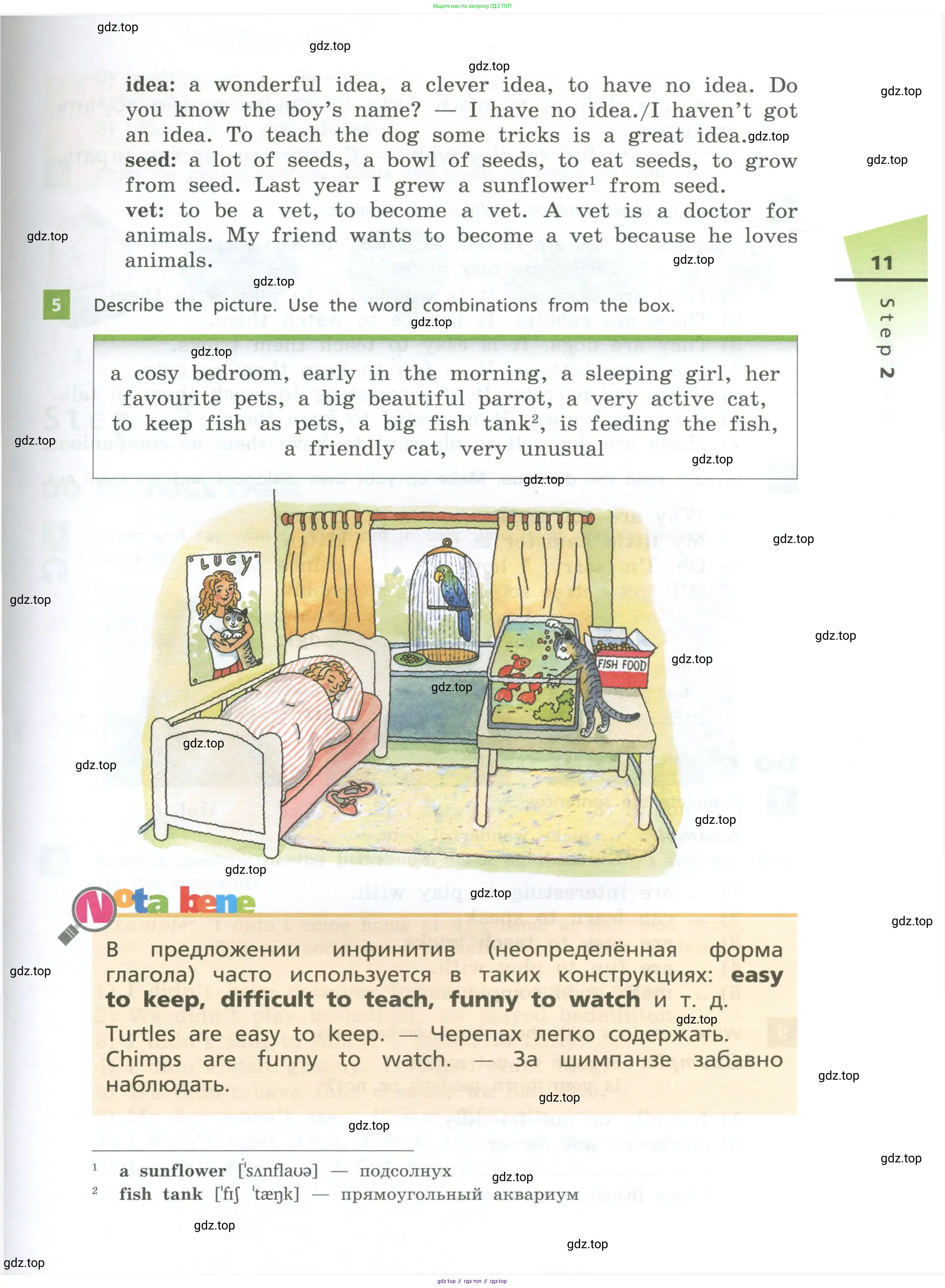 Английский язык (english), 5 класс Учебник, авторы: Афанасьева Ольга Васильевна (Afanasyeva Olga), Михеева Ирина Владимировна (Mikheeva Irina), Баранова Ксения Михайловна (Baranova Ksenia), издательство Просвещение, Москва, 2023, Часть 1, страница 11