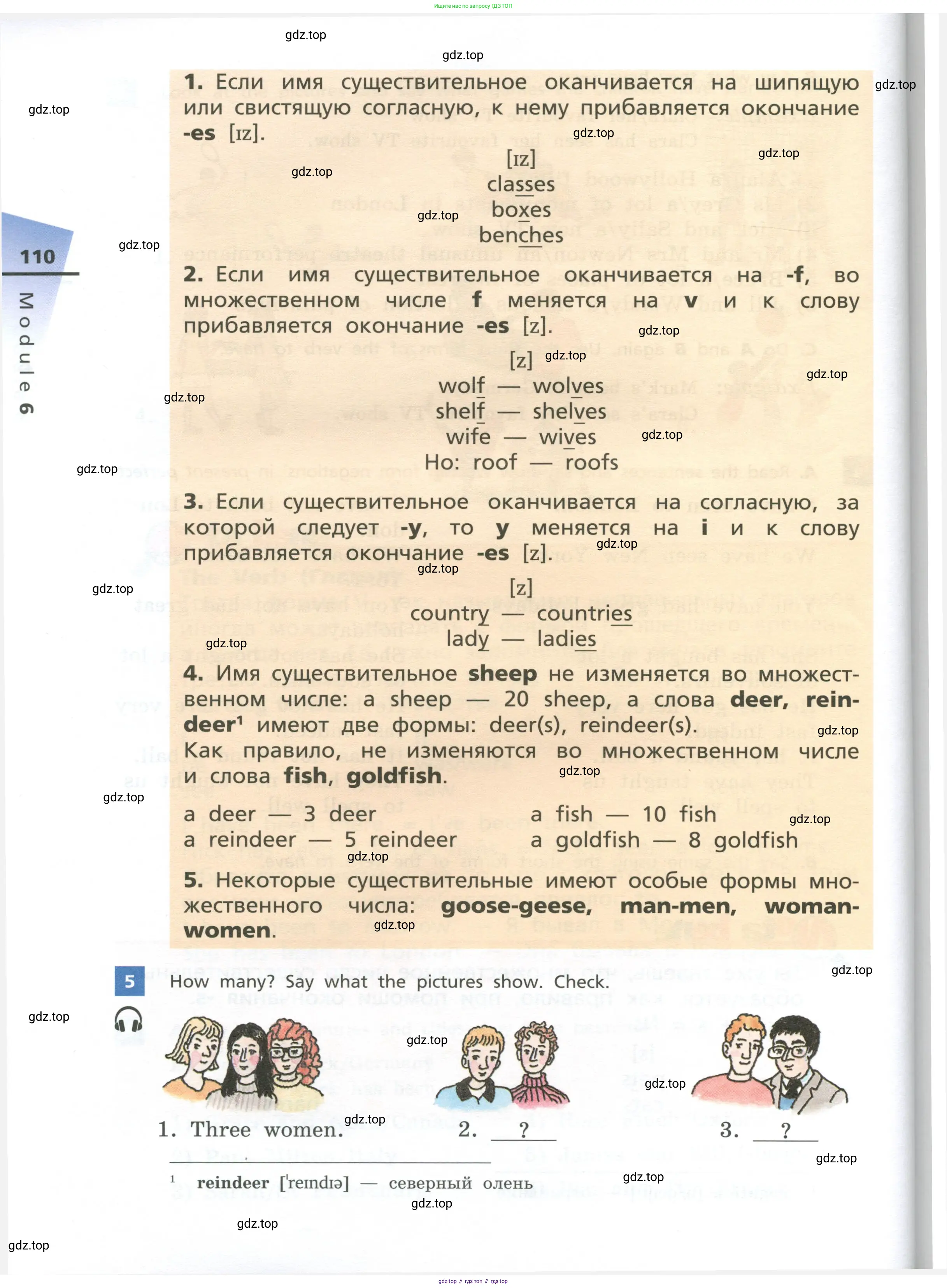 Английский язык (english), 5 класс Учебник, авторы: Афанасьева Ольга Васильевна (Afanasyeva Olga), Михеева Ирина Владимировна (Mikheeva Irina), Баранова Ксения Михайловна (Baranova Ksenia), издательство Просвещение, Москва, 2023, Часть 1, страница 110