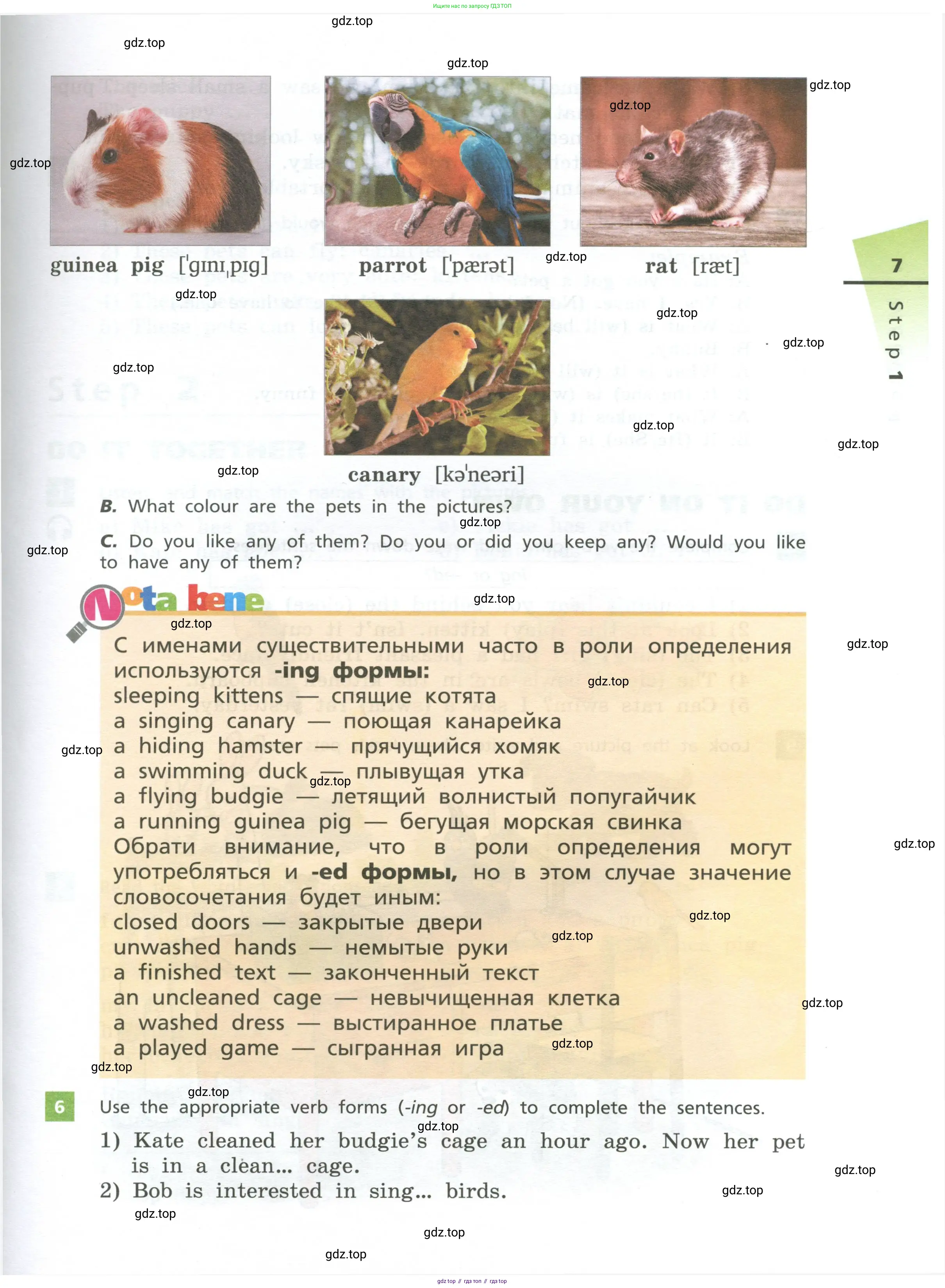 Английский язык (english), 5 класс Учебник, авторы: Афанасьева Ольга Васильевна (Afanasyeva Olga), Михеева Ирина Владимировна (Mikheeva Irina), Баранова Ксения Михайловна (Baranova Ksenia), издательство Просвещение, Москва, 2023, Часть 1, страница 7
