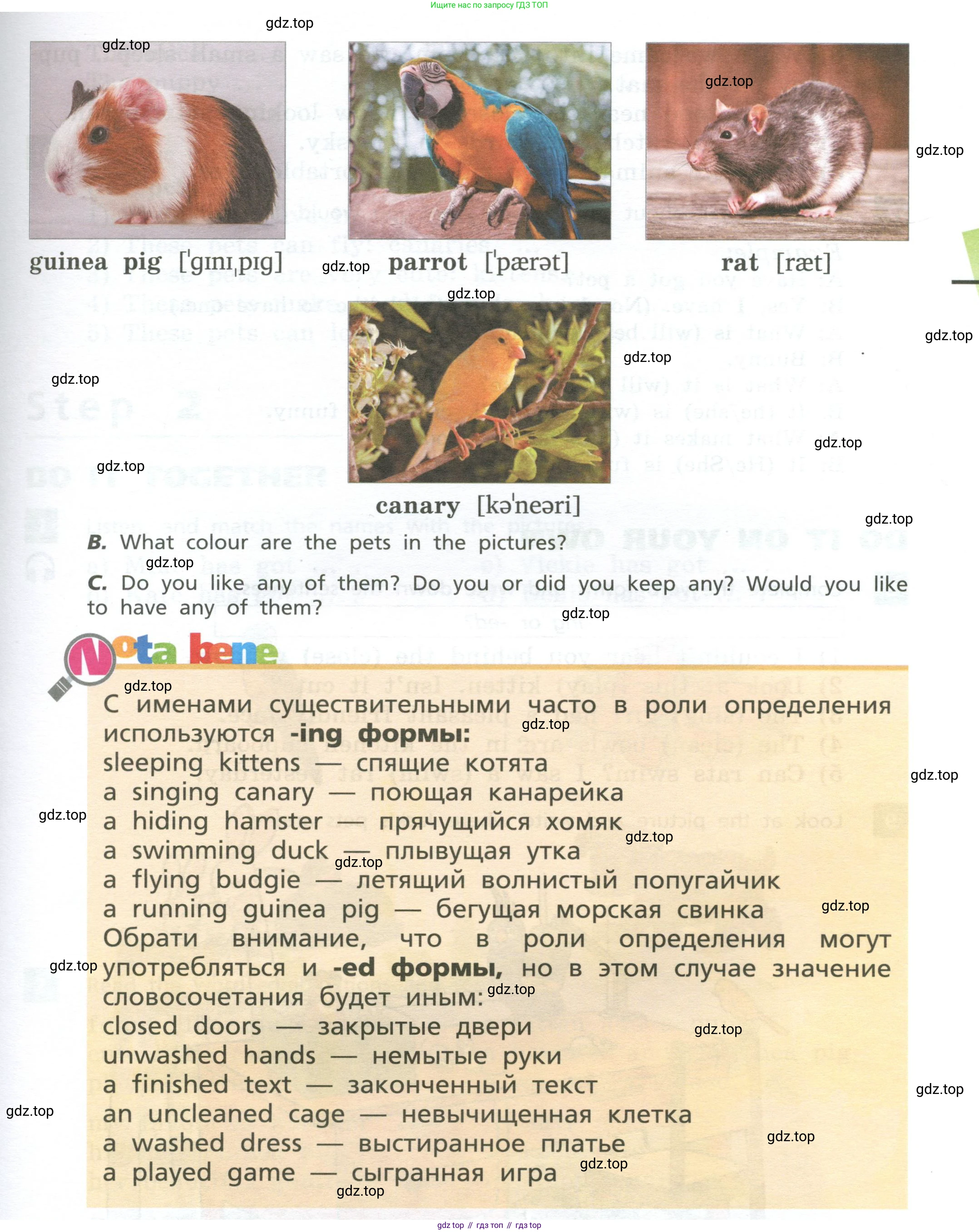 Английский язык (english), 5 класс Учебник, авторы: Афанасьева Ольга Васильевна (Afanasyeva Olga), Михеева Ирина Владимировна (Mikheeva Irina), Баранова Ксения Михайловна (Baranova Ksenia), издательство Просвещение, Москва, 2023, Часть 2, страница 6, номер 5, Учебник (продолжение 2)