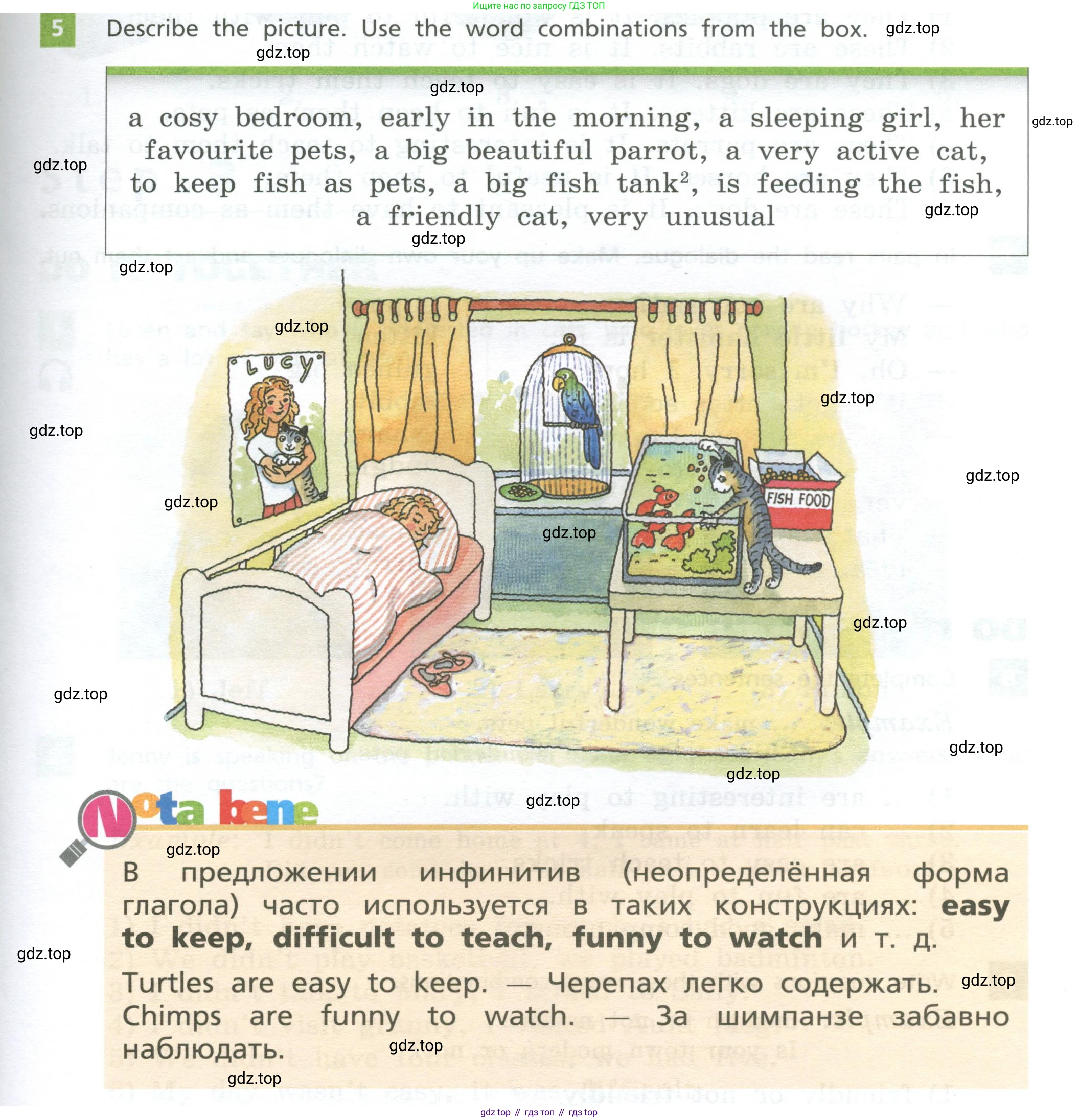 Английский язык (english), 5 класс Учебник, авторы: Афанасьева Ольга Васильевна (Afanasyeva Olga), Михеева Ирина Владимировна (Mikheeva Irina), Баранова Ксения Михайловна (Baranova Ksenia), издательство Просвещение, Москва, 2023, Часть 2, страница 11, номер 5, Учебник