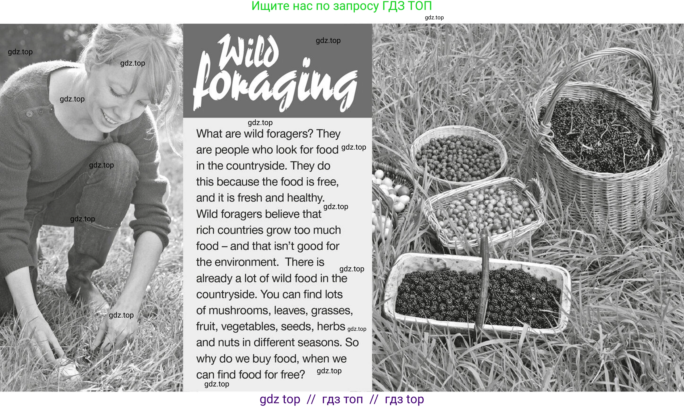 Английский язык (english), 5-7 класс Рабочая тетрадь (workbook), авторы: Фалла Тим (Falla Tim), Дэвис Пауль (A Davies Paul), издательство Oxford University Press, Any, 2017, бирюзового цвета, страница 44, номер 1, Условие