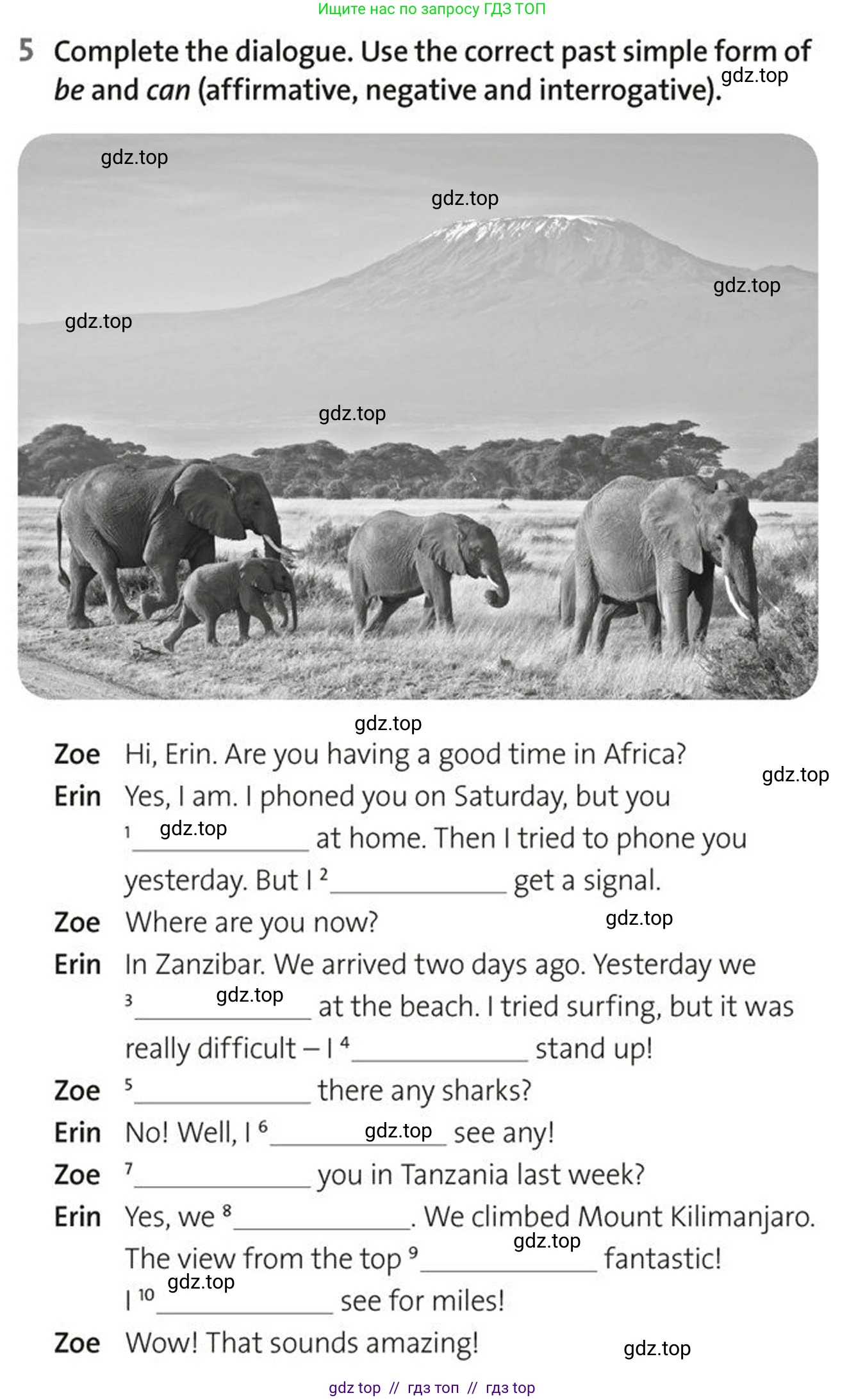 Английский язык (english), 5-7 класс Рабочая тетрадь (workbook), авторы: Фалла Тим (Falla Tim), Дэвис Пауль (A Davies Paul), издательство Oxford University Press, Any, 2017, бирюзового цвета, страница 67, номер 5, Условие
