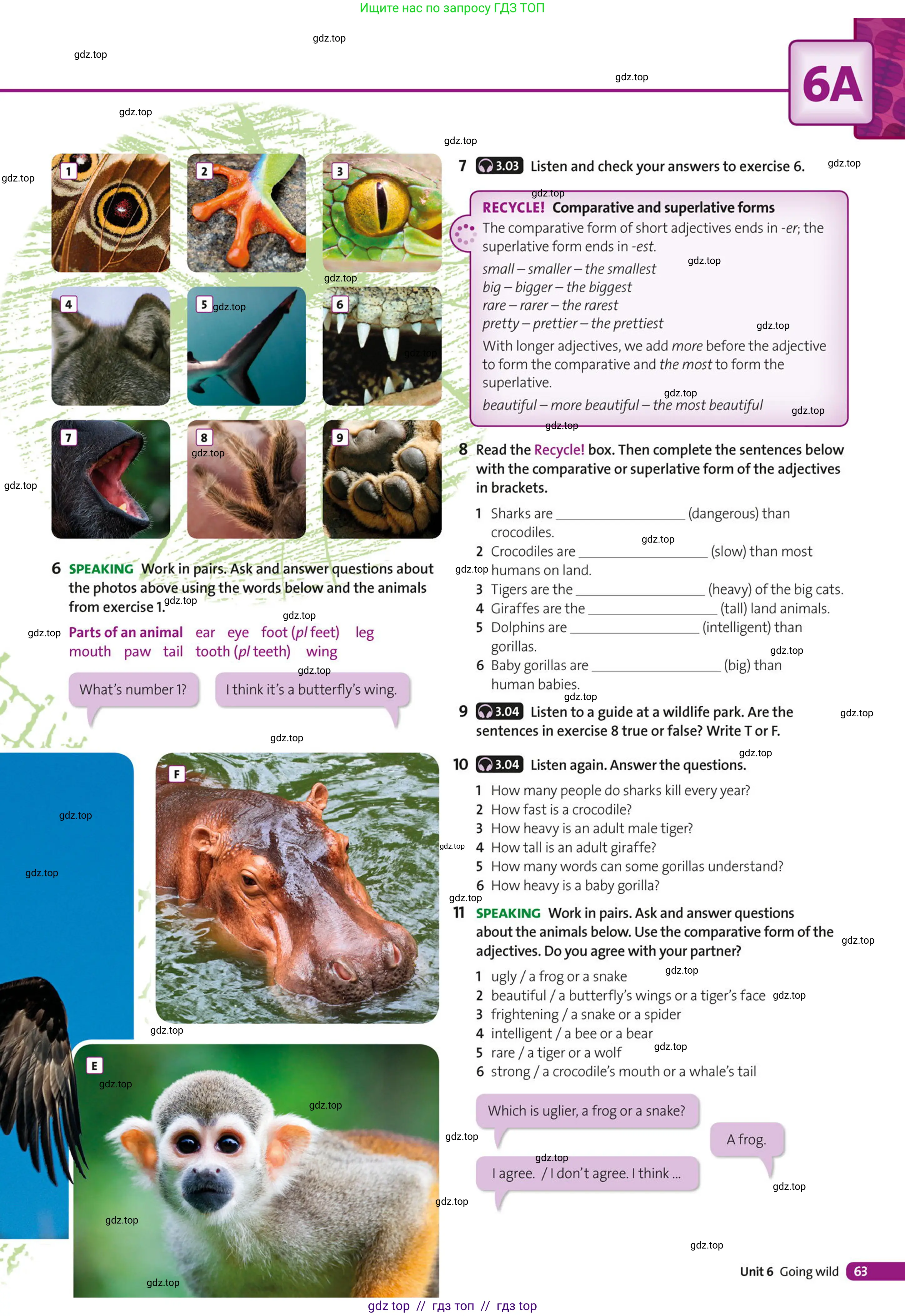 Условие (task conditions)