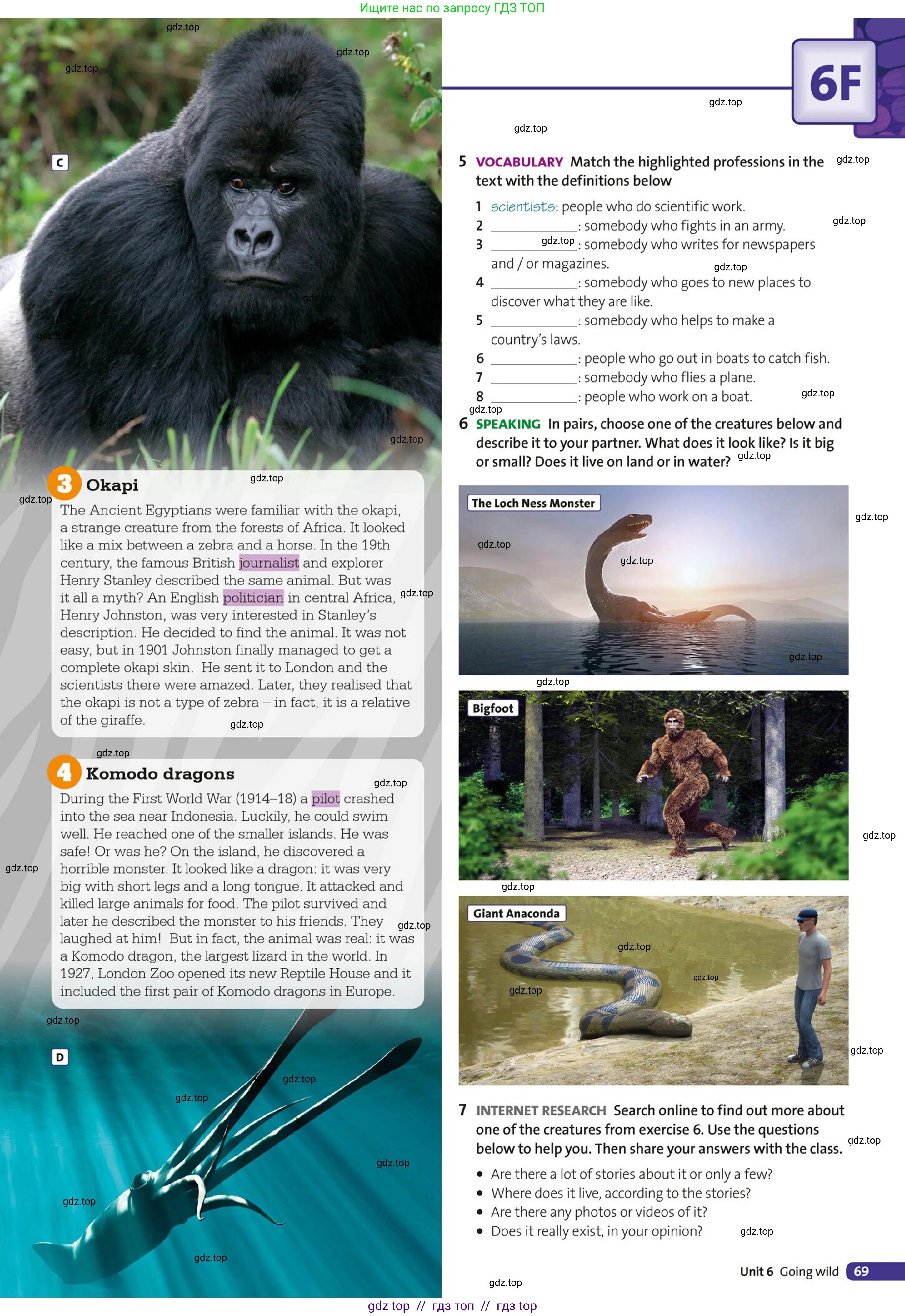 Условие (task conditions)