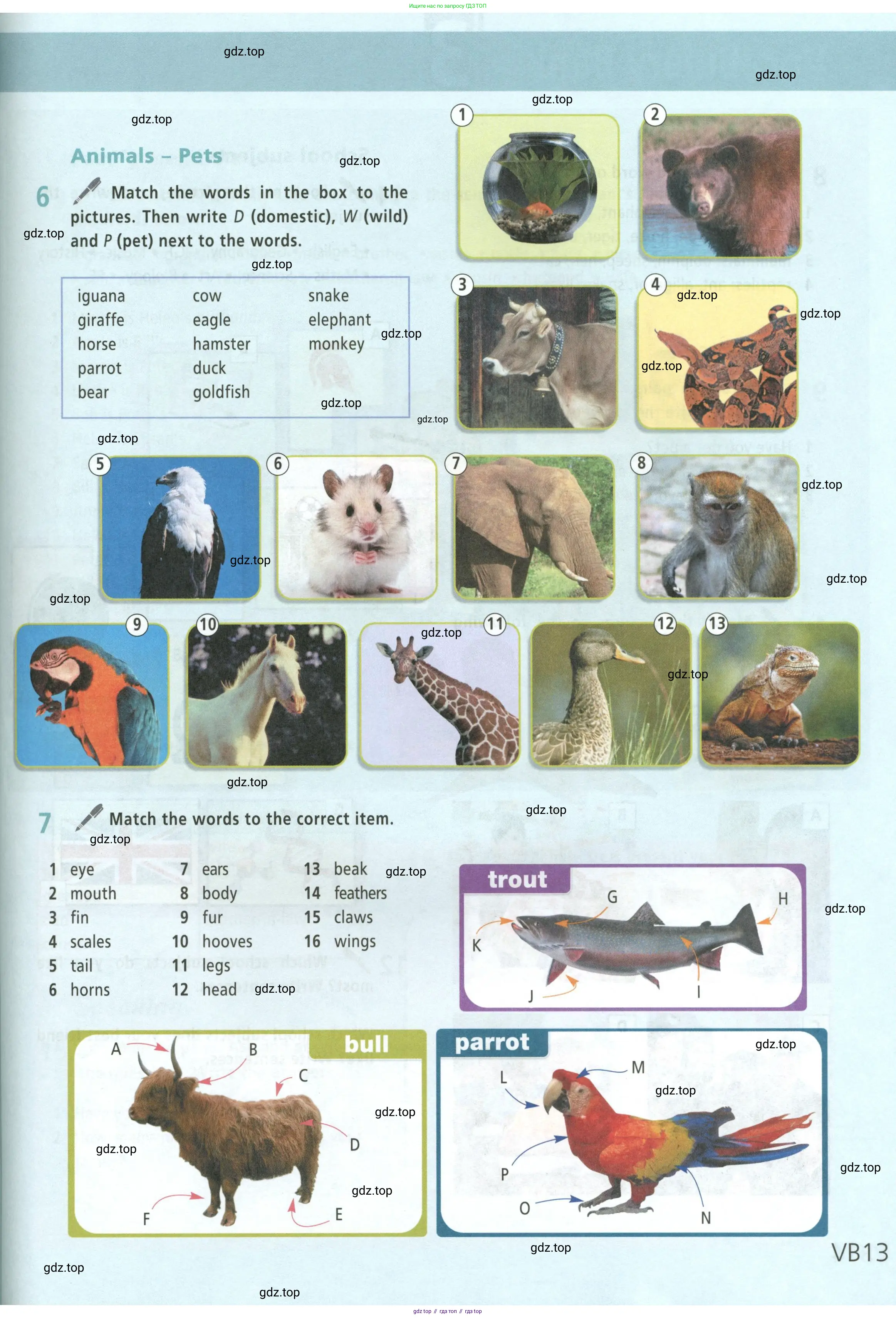 Английский язык (english), 5 класс Учебник (Student's book), авторы: Баранова Ксения Михайловна (Baranova Ksenia), Дули Дженни (Dooley Jenny), Копылова Виктория Викторовна (Kopylova Victoria), Мильруд Радислав Петрович (Millrood Radislav), Эванс Вирджиния (Evans Virginia), издательство Просвещение, Москва, 2023, белого цвета, страница 133