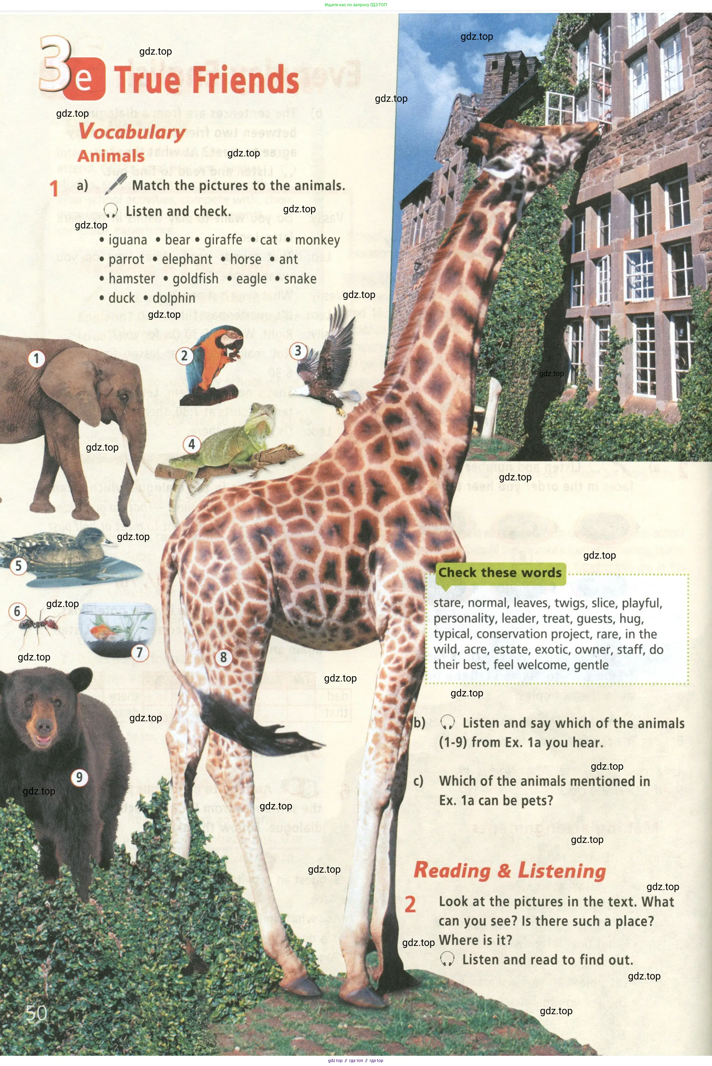 Английский язык (english), 5 класс Учебник (Student's book), авторы: Баранова Ксения Михайловна (Baranova Ksenia), Дули Дженни (Dooley Jenny), Копылова Виктория Викторовна (Kopylova Victoria), Мильруд Радислав Петрович (Millrood Radislav), Эванс Вирджиния (Evans Virginia), издательство Просвещение, Москва, 2023, белого цвета, страница 50