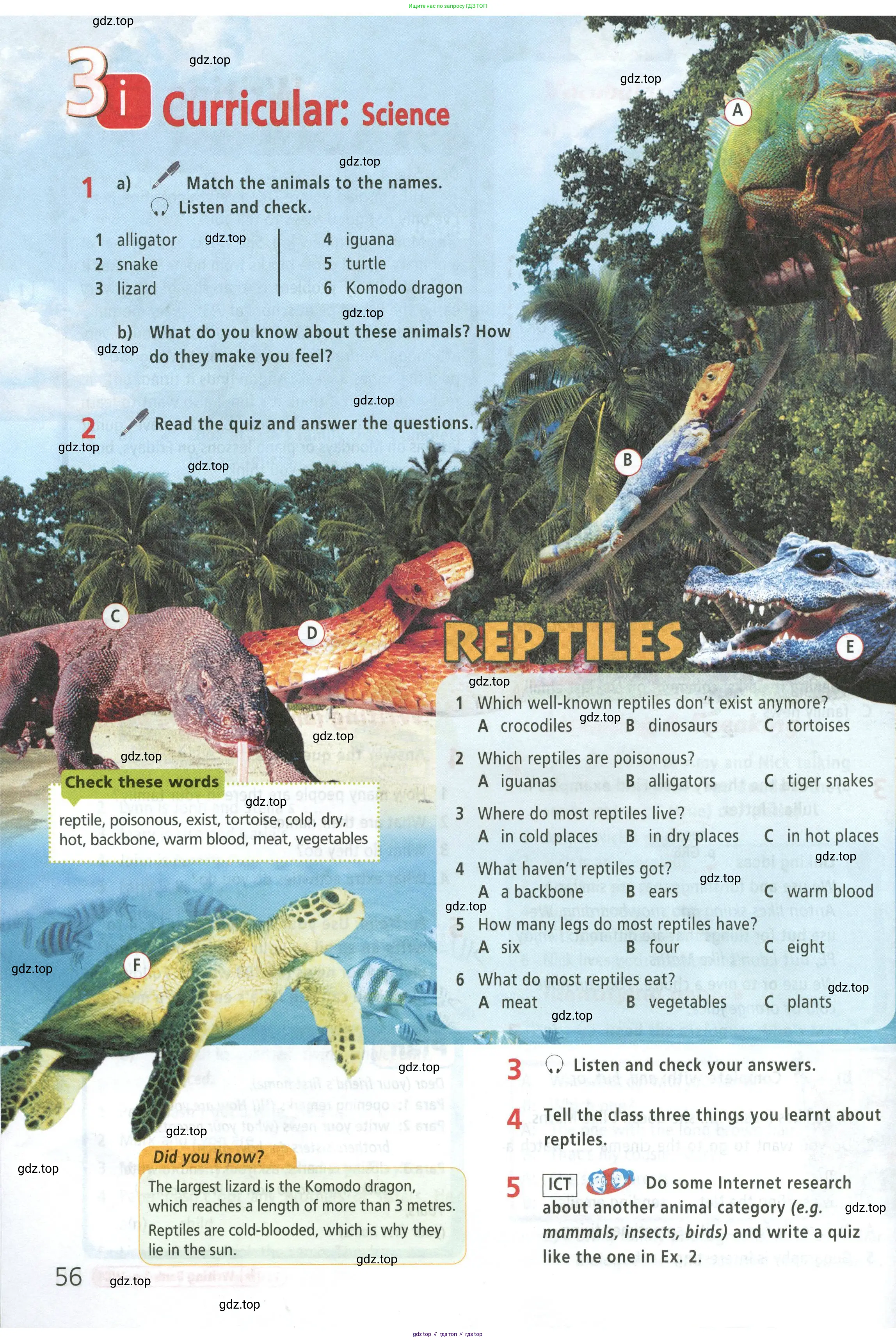 Английский язык (english), 5 класс Учебник (Student's book), авторы: Баранова Ксения Михайловна (Baranova Ksenia), Дули Дженни (Dooley Jenny), Копылова Виктория Викторовна (Kopylova Victoria), Мильруд Радислав Петрович (Millrood Radislav), Эванс Вирджиния (Evans Virginia), издательство Просвещение, Москва, 2023, белого цвета, страница 56