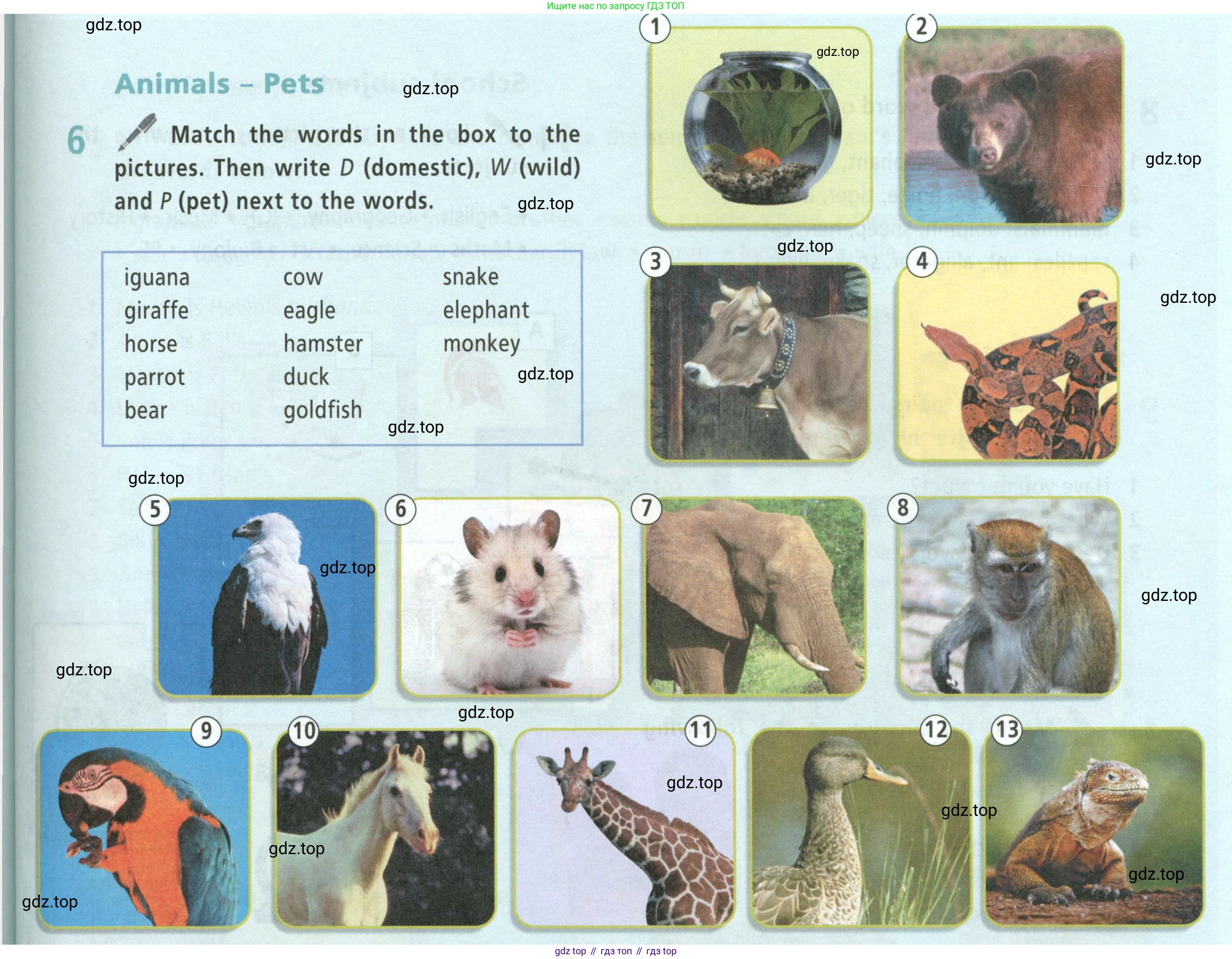 ГДЗ Английский язык (english), 5 класс Учебник (Student's book), авторы: Баранова Ксения Михайловна (Baranova Ksenia), Дули Дженни (Dooley Jenny), Копылова Виктория Викторовна (Kopylova Victoria), Мильруд Радислав Петрович (Millrood Radislav), Эванс Вирджиния (Evans Virginia), издательство Просвещение, Москва, 2023, белого цвета, страница 133, номер 6, Условие