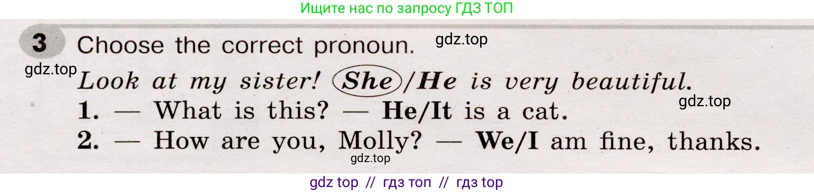 Английский язык (english), 5 класс Грамматический тренажёр, автор: Тимофеева Светлана Леонидовна, издательство Просвещение, Москва, 2023, оранжевого цвета, страница 10, номер 3, Условие 2019-2022