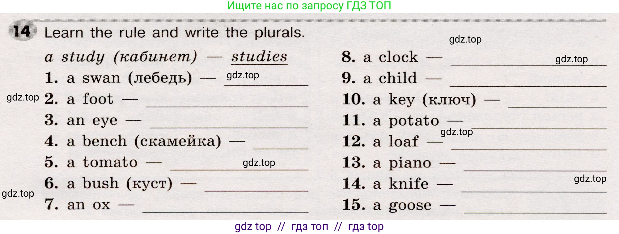 Английский язык (english), 5 класс Грамматический тренажёр, автор: Тимофеева Светлана Леонидовна, издательство Просвещение, Москва, 2023, оранжевого цвета, страница 32, номер 14, Условие 2019-2022
