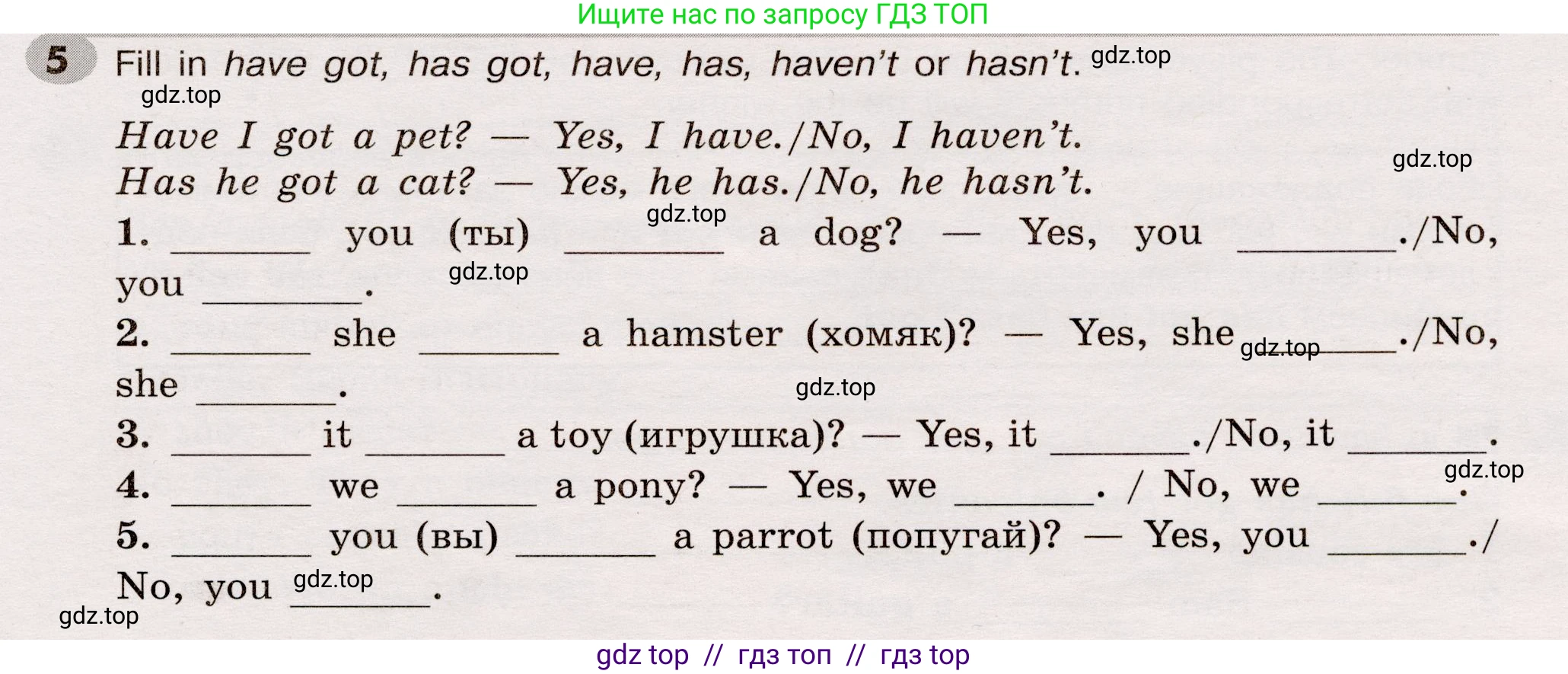 Английский язык (english), 5 класс Грамматический тренажёр, автор: Тимофеева Светлана Леонидовна, издательство Просвещение, Москва, 2023, оранжевого цвета, страница 25, номер 5, Условие 2019-2022
