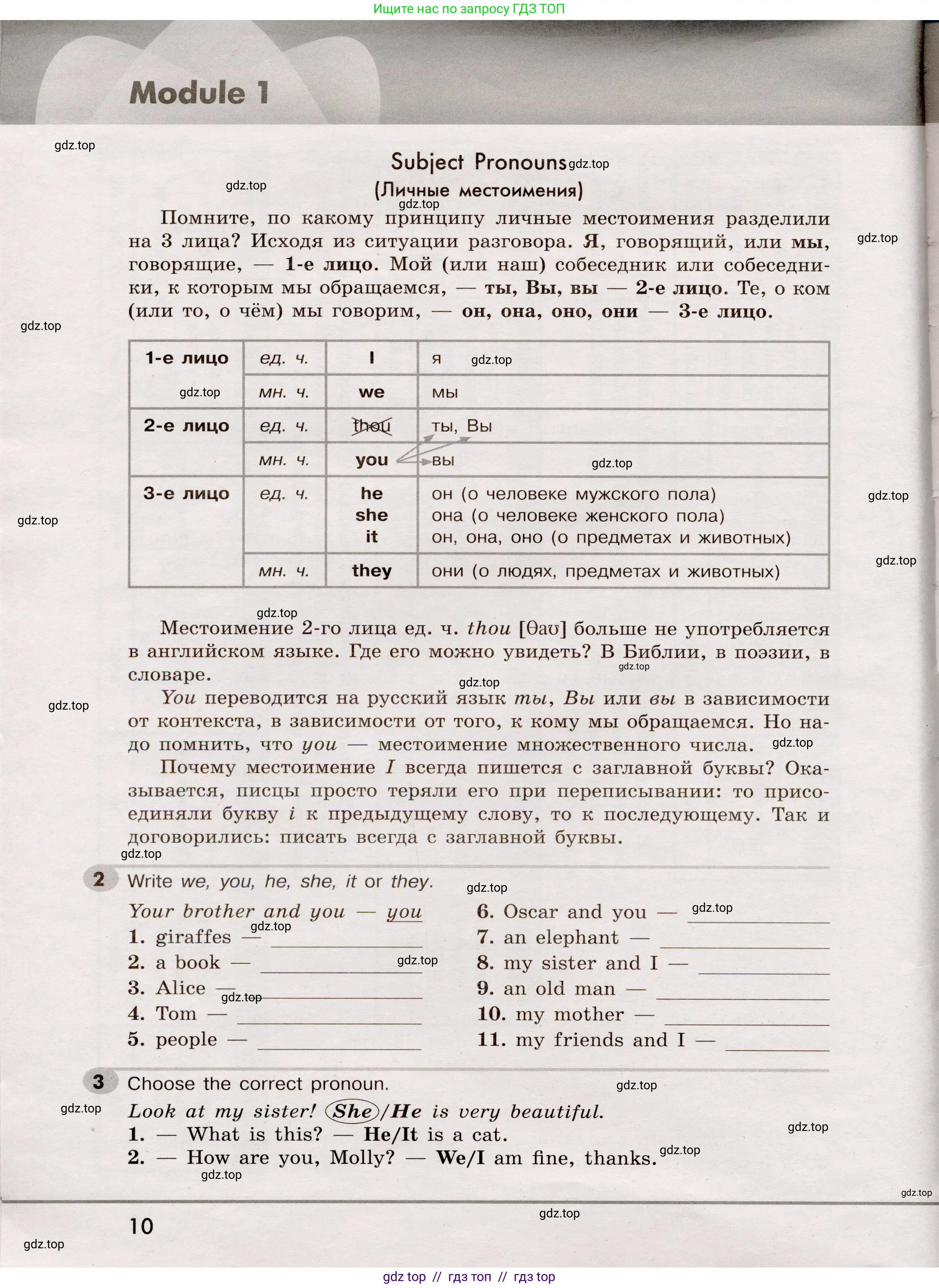 Английский язык (english), 5 класс Грамматический тренажёр, автор: Тимофеева Светлана Леонидовна, издательство Просвещение, Москва, 2023, оранжевого цвета, страница 10