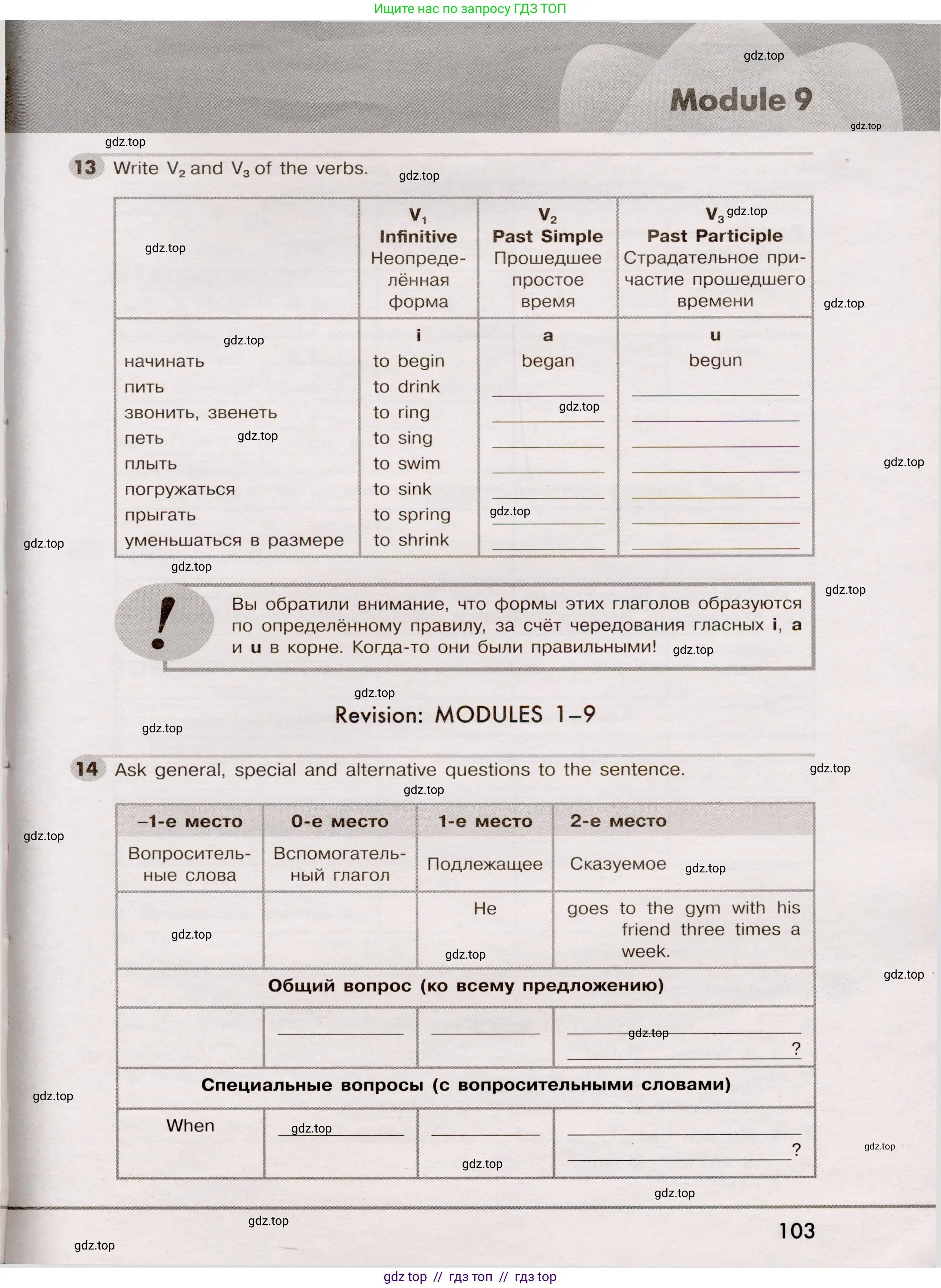 Английский язык (english), 5 класс Грамматический тренажёр, автор: Тимофеева Светлана Леонидовна, издательство Просвещение, Москва, 2023, оранжевого цвета, страница 103
