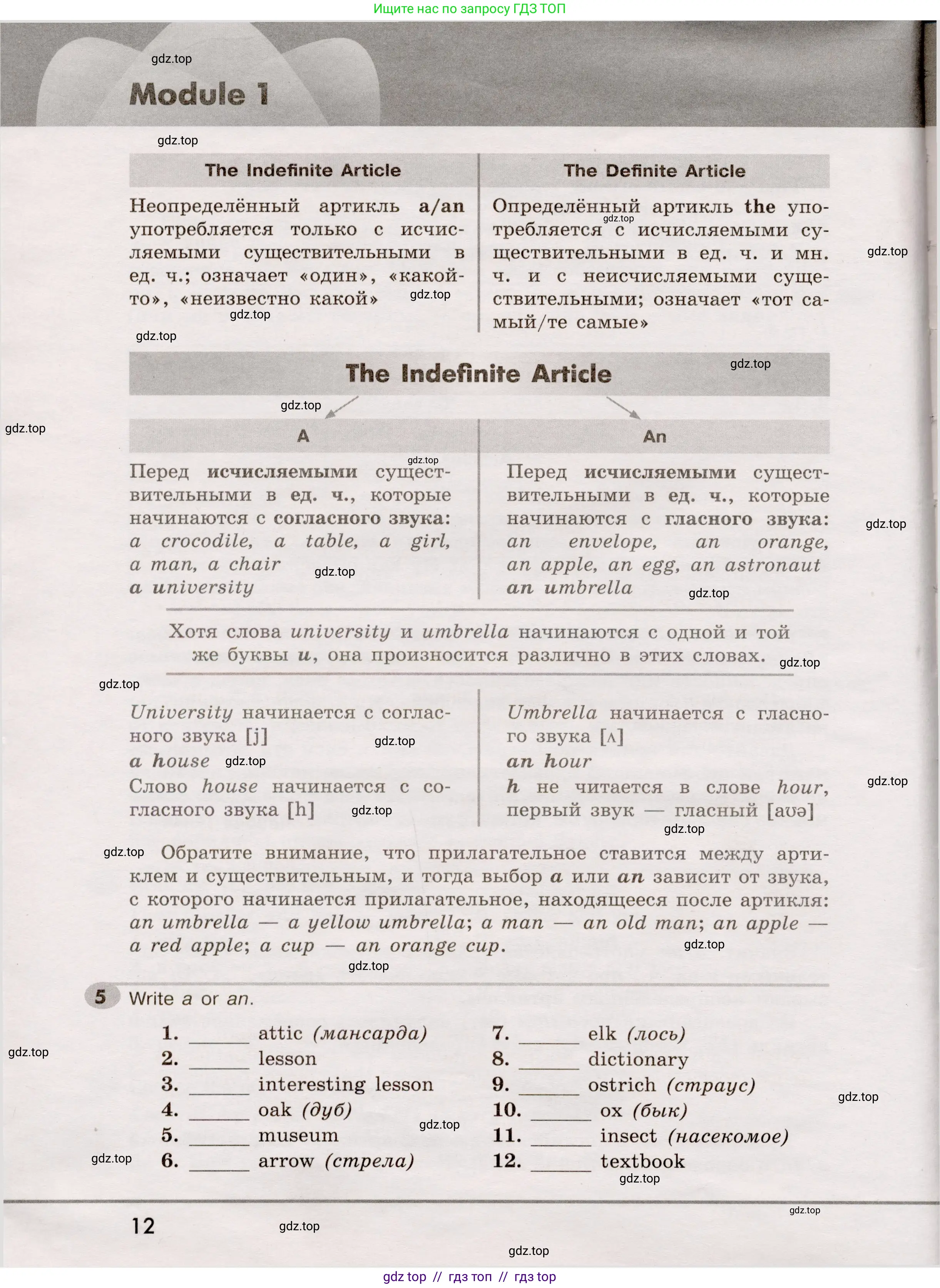Английский язык (english), 5 класс Грамматический тренажёр, автор: Тимофеева Светлана Леонидовна, издательство Просвещение, Москва, 2023, оранжевого цвета, страница 12