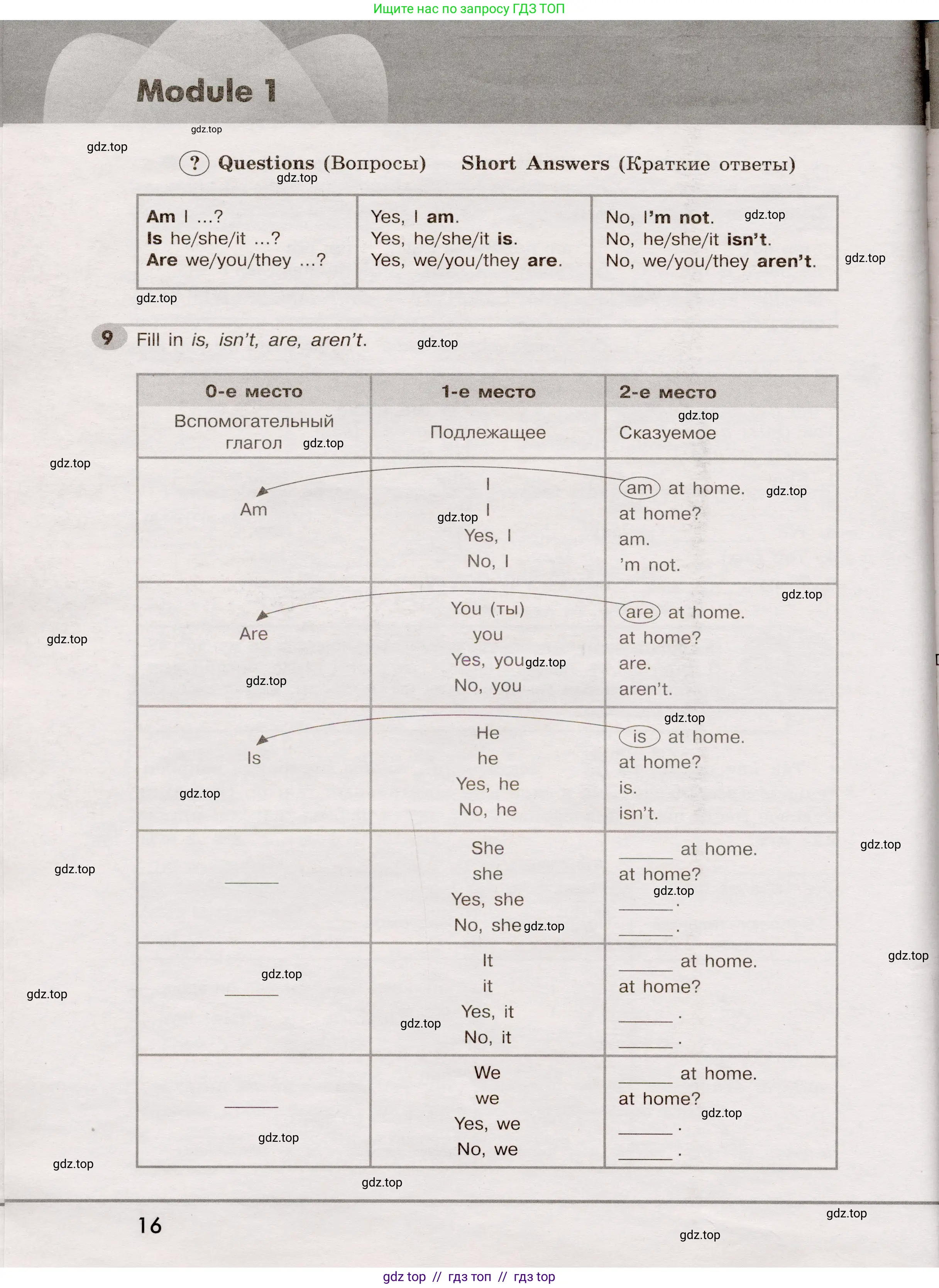 Английский язык (english), 5 класс Грамматический тренажёр, автор: Тимофеева Светлана Леонидовна, издательство Просвещение, Москва, 2023, оранжевого цвета, страница 16