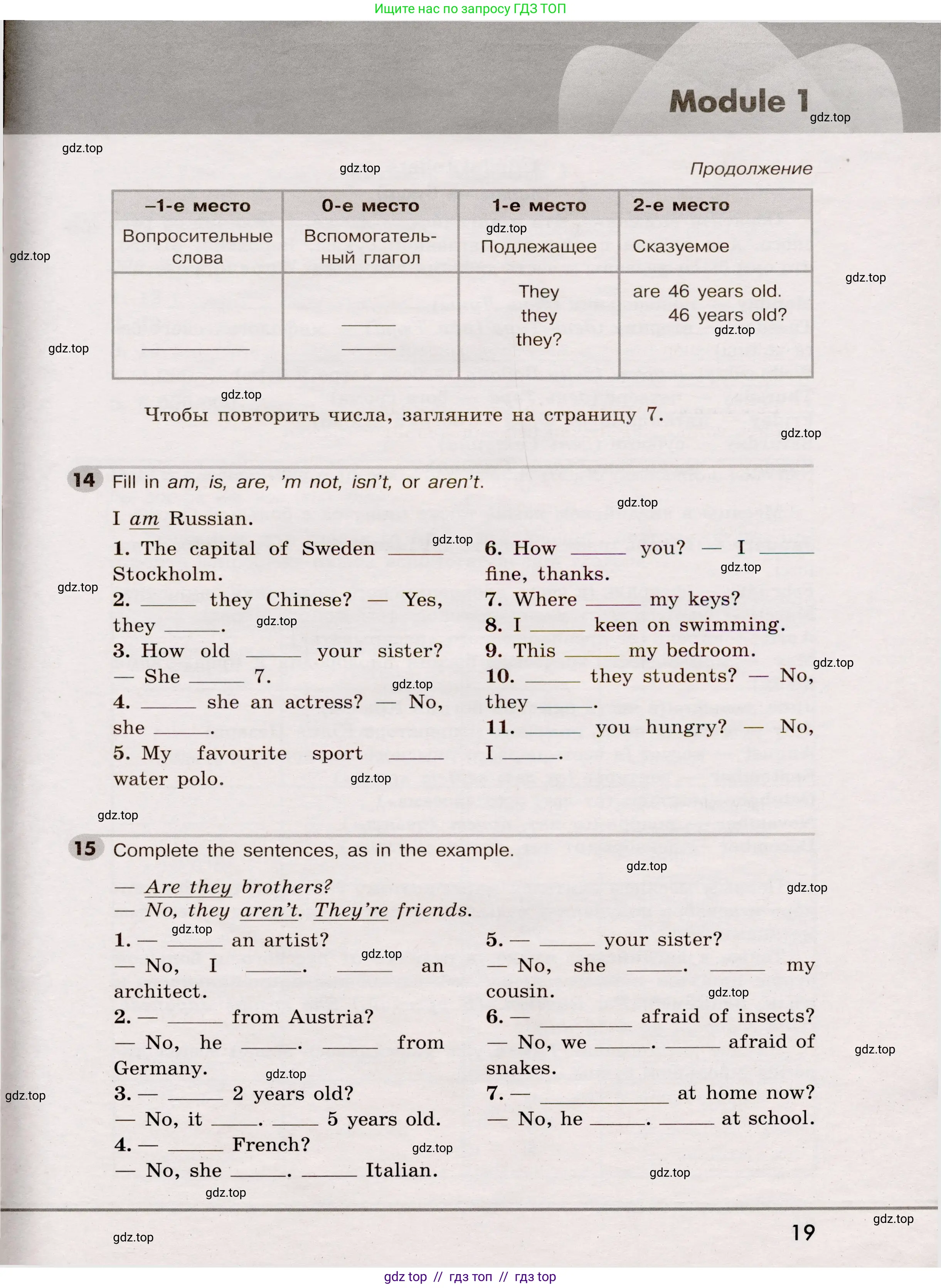 Английский язык (english), 5 класс Грамматический тренажёр, автор: Тимофеева Светлана Леонидовна, издательство Просвещение, Москва, 2023, оранжевого цвета, страница 19