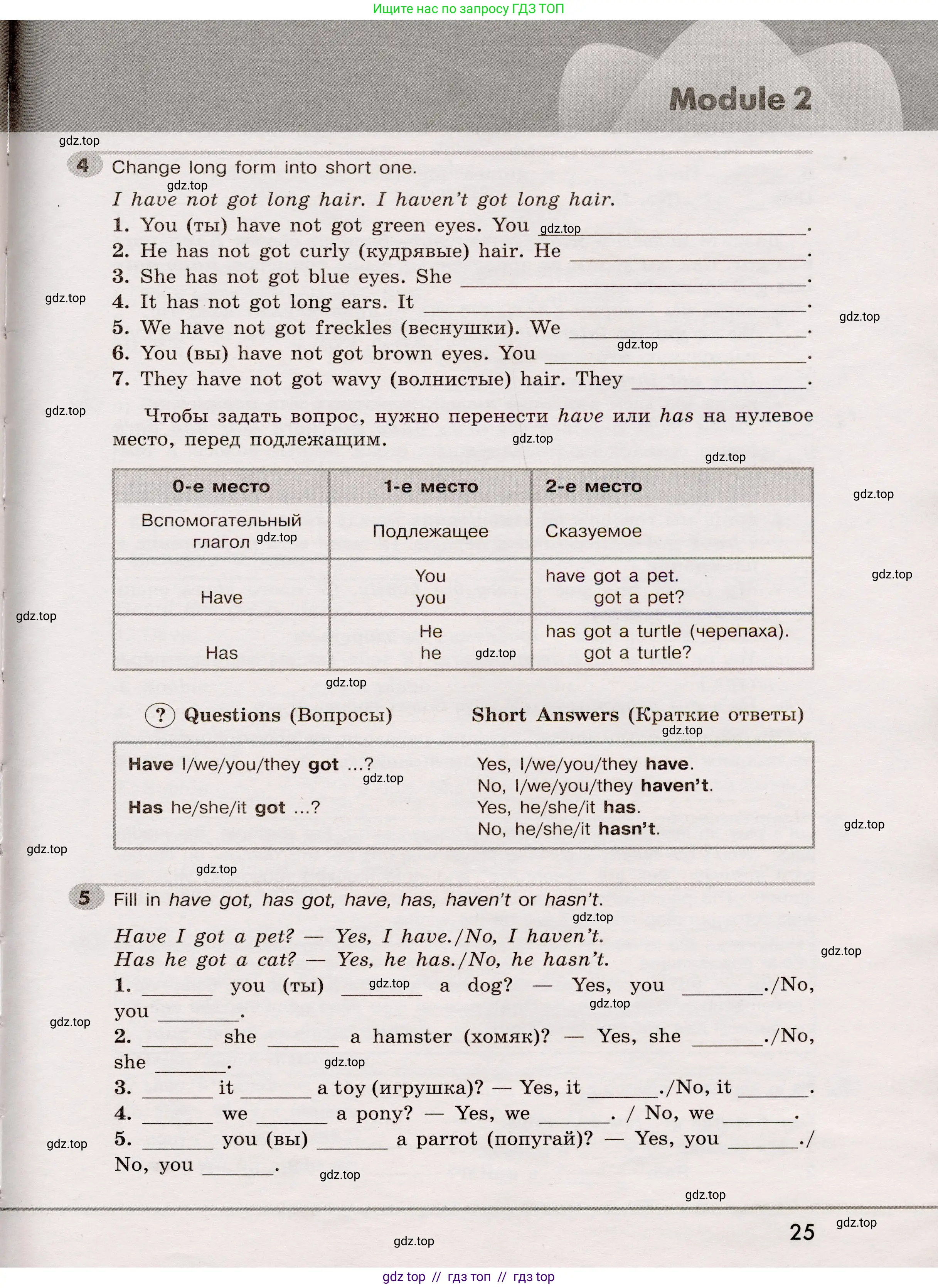 Английский язык (english), 5 класс Грамматический тренажёр, автор: Тимофеева Светлана Леонидовна, издательство Просвещение, Москва, 2023, оранжевого цвета, страница 25