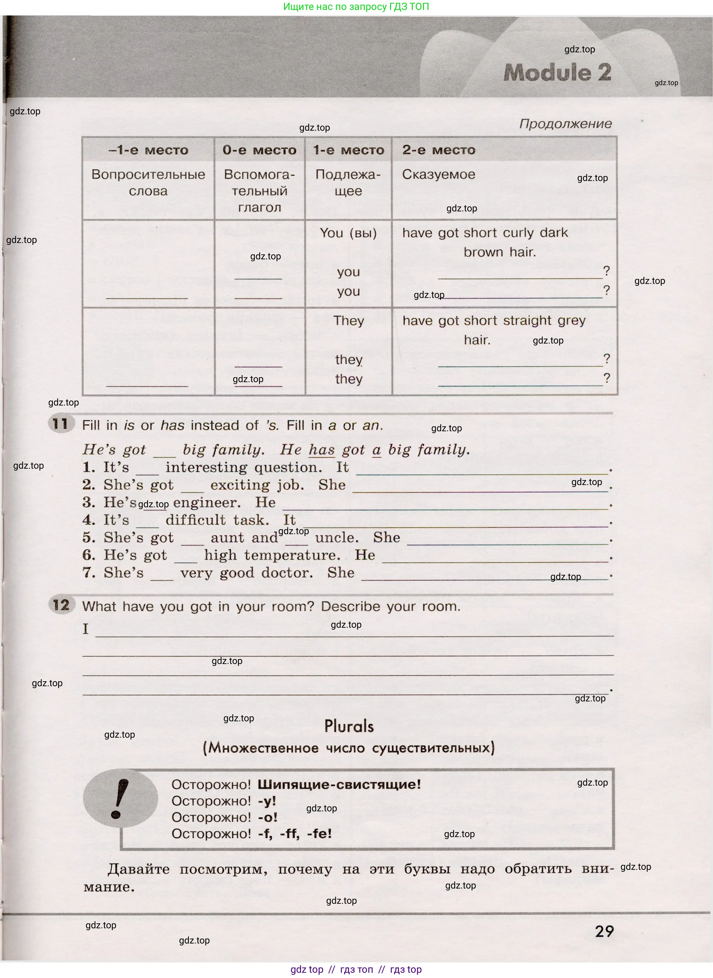 Английский язык (english), 5 класс Грамматический тренажёр, автор: Тимофеева Светлана Леонидовна, издательство Просвещение, Москва, 2023, оранжевого цвета, страница 29
