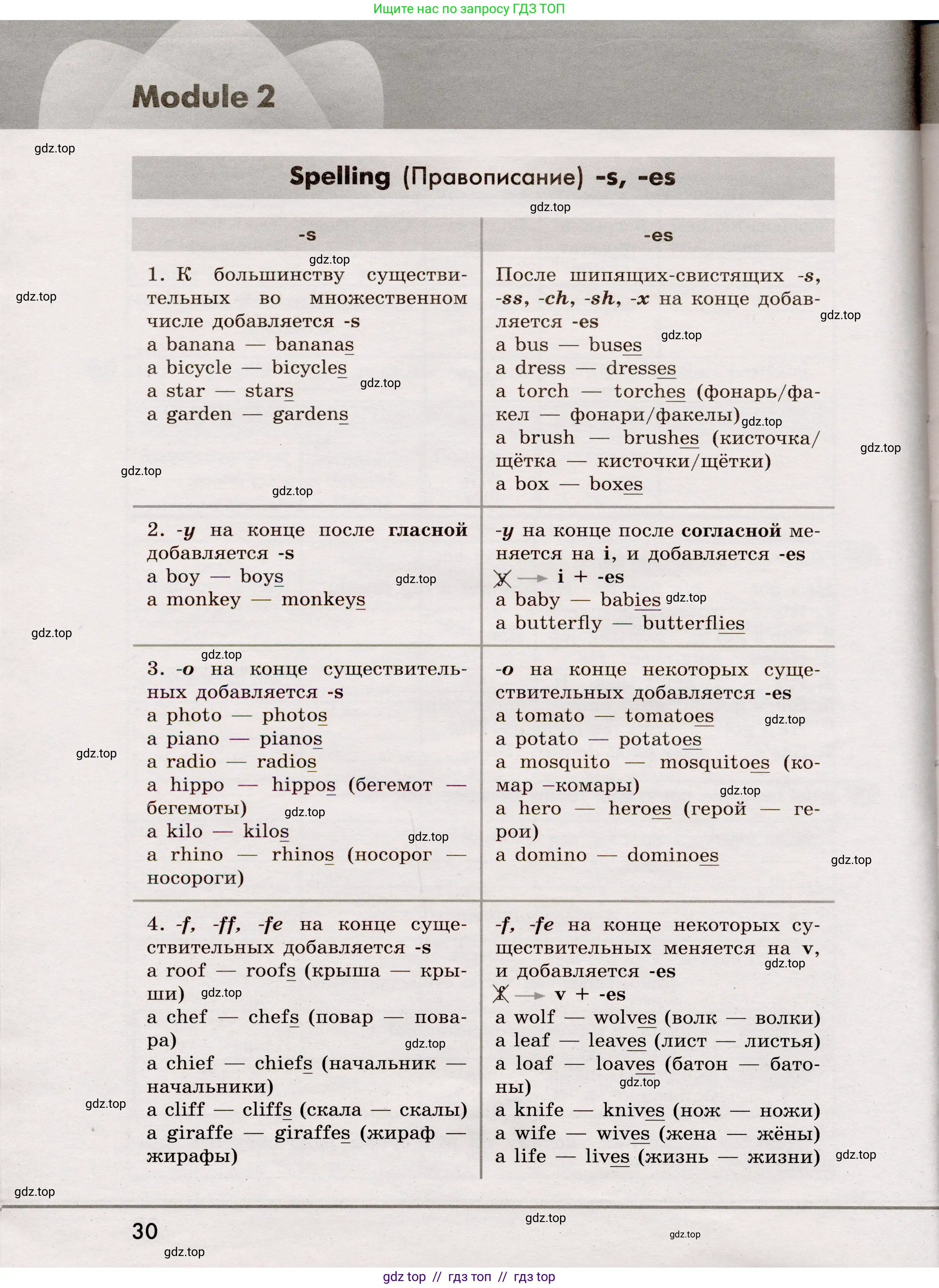 Английский язык (english), 5 класс Грамматический тренажёр, автор: Тимофеева Светлана Леонидовна, издательство Просвещение, Москва, 2023, оранжевого цвета, страница 30