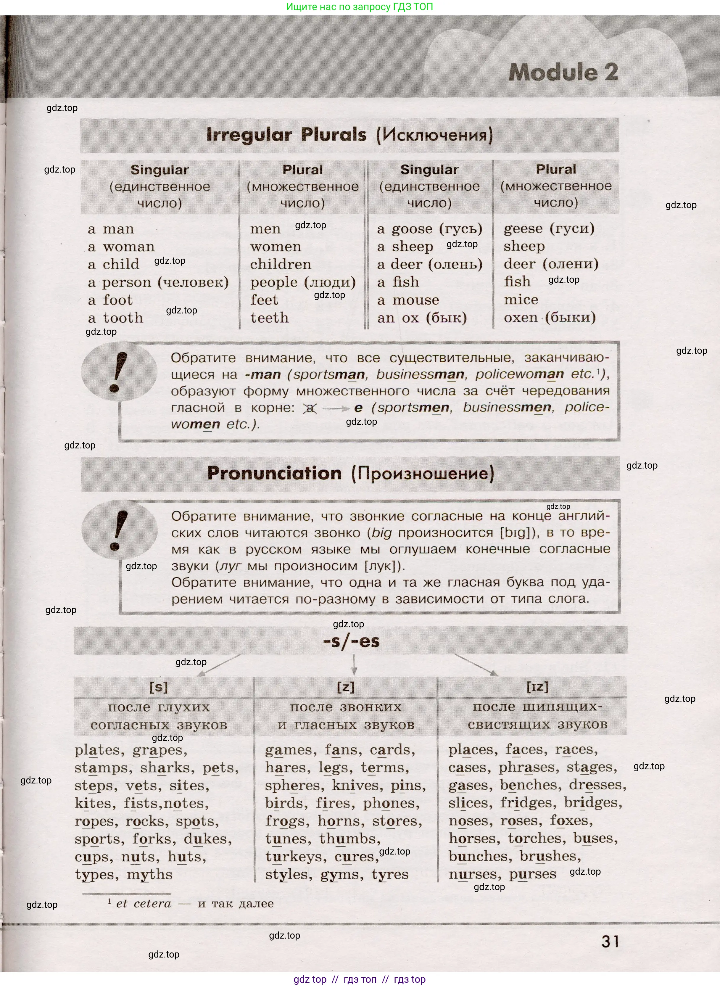 Английский язык (english), 5 класс Грамматический тренажёр, автор: Тимофеева Светлана Леонидовна, издательство Просвещение, Москва, 2023, оранжевого цвета, страница 31