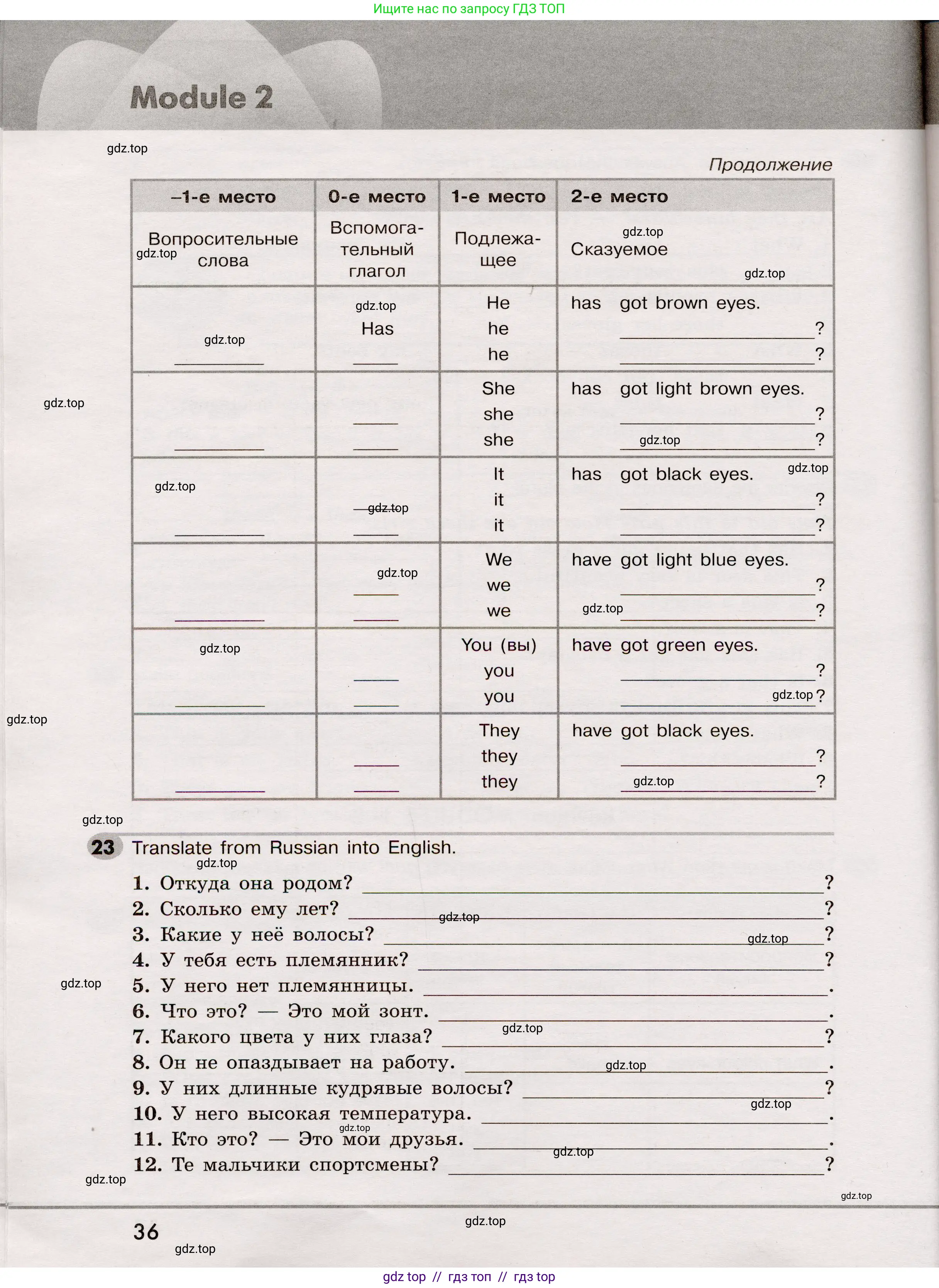 Английский язык (english), 5 класс Грамматический тренажёр, автор: Тимофеева Светлана Леонидовна, издательство Просвещение, Москва, 2023, оранжевого цвета, страница 36