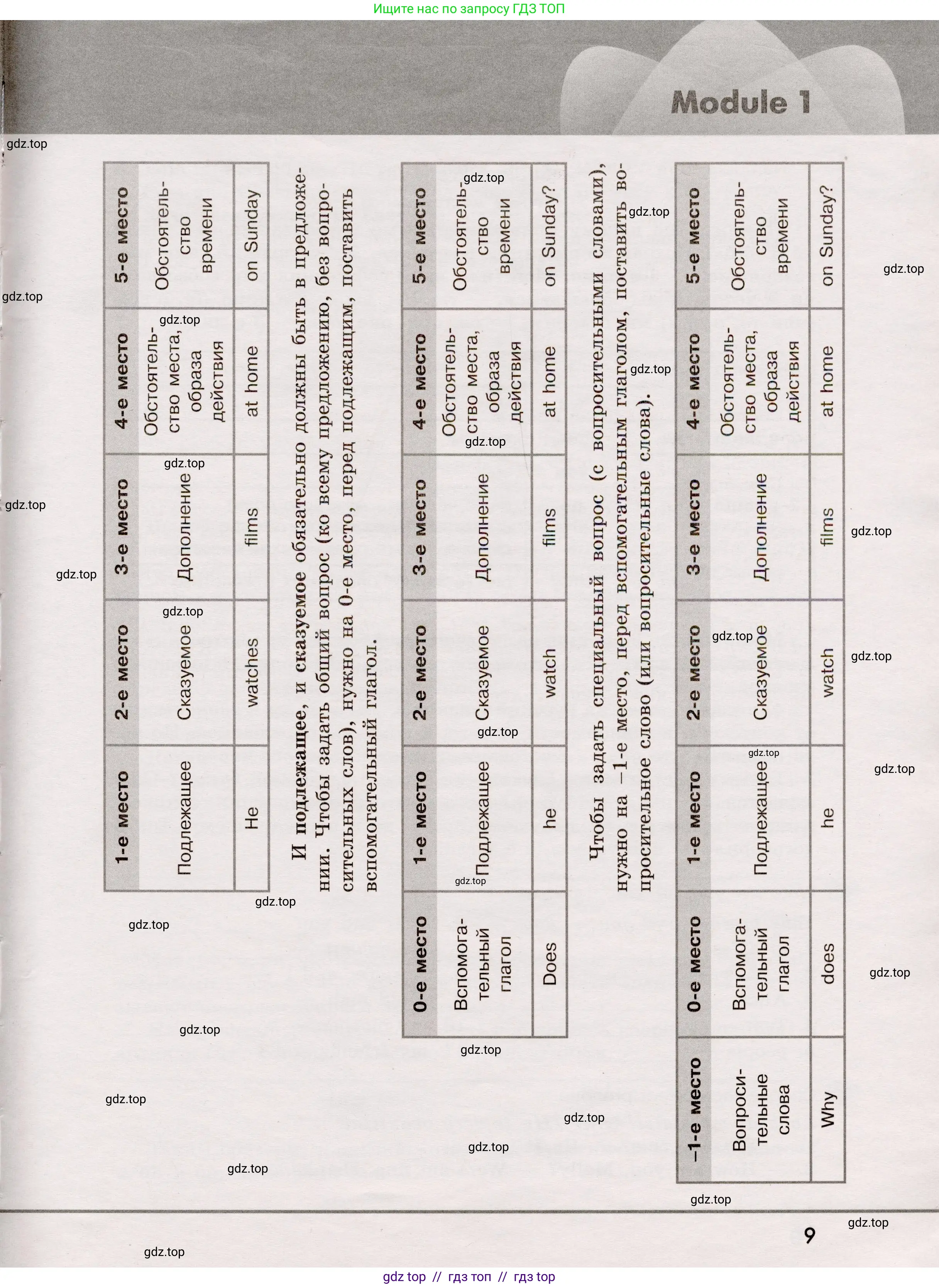 Английский язык (english), 5 класс Грамматический тренажёр, автор: Тимофеева Светлана Леонидовна, издательство Просвещение, Москва, 2023, оранжевого цвета, страница 9