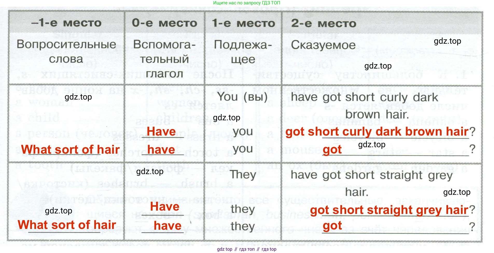 ГДЗ Английский язык (english), 5 класс Грамматический тренажёр, автор: Тимофеева Светлана Леонидовна, издательство Просвещение, Москва, 2023, оранжевого цвета, страница 28, номер 10, Решение 2 (2023-2027) (продолжение 2)