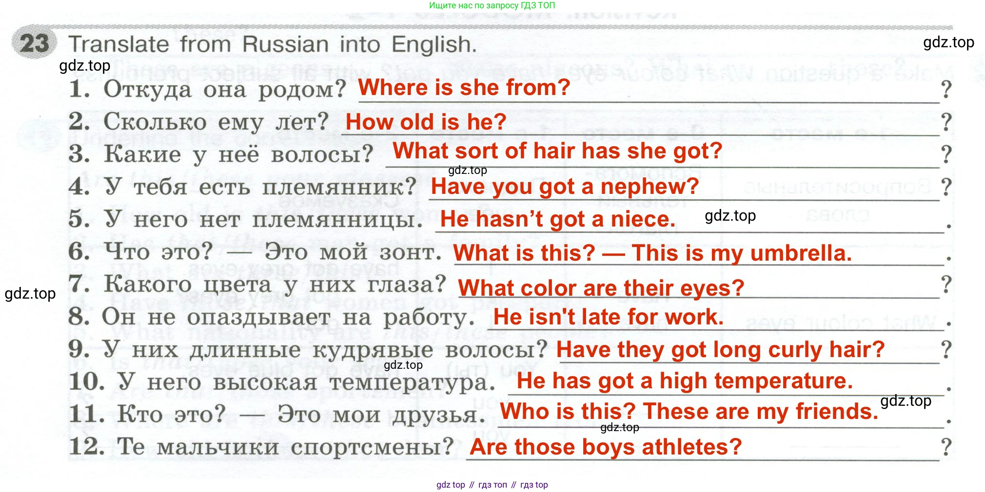 ГДЗ Английский язык (english), 5 класс Грамматический тренажёр, автор: Тимофеева Светлана Леонидовна, издательство Просвещение, Москва, 2023, оранжевого цвета, страница 36, номер 23, Решение 2 (2023-2027)