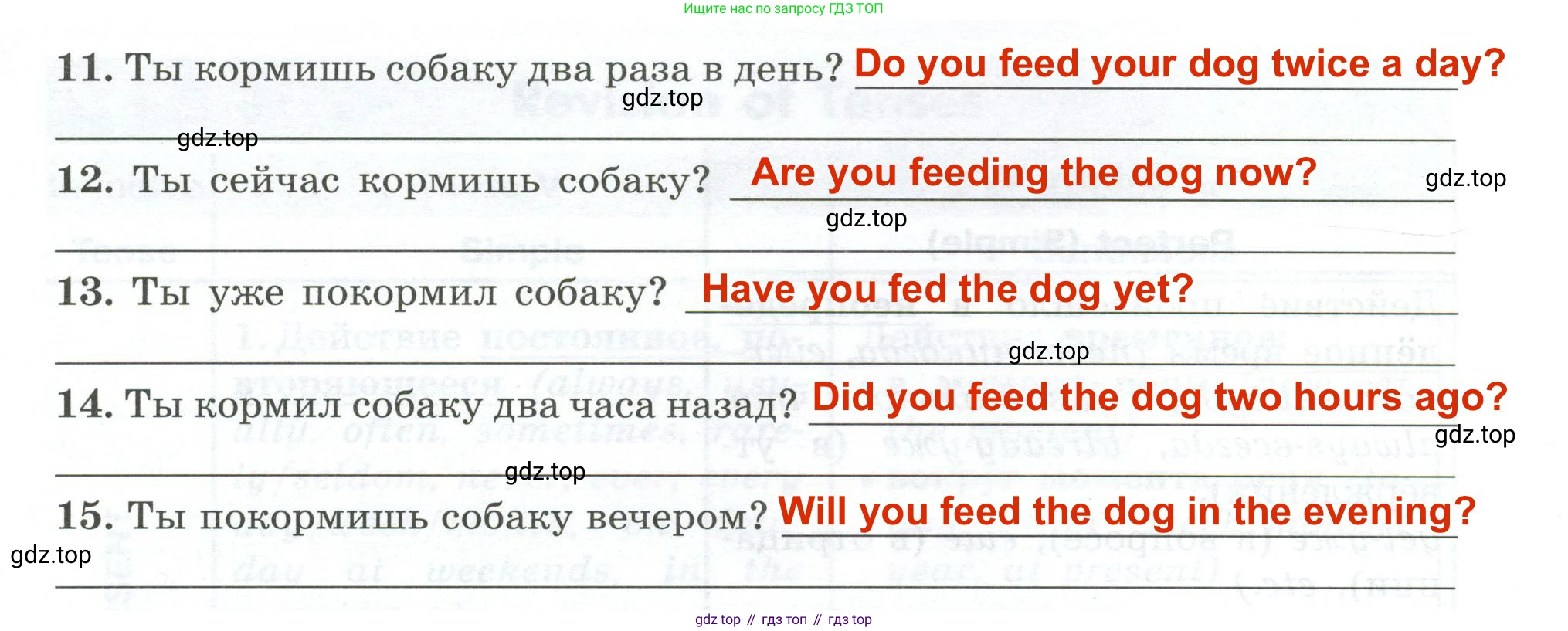ГДЗ Английский язык (english), 5 класс Грамматический тренажёр, автор: Тимофеева Светлана Леонидовна, издательство Просвещение, Москва, 2023, оранжевого цвета, страница 125, номер 17, Решение 2 (2023-2027) (продолжение 2)