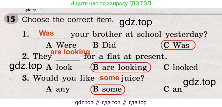 Английский язык (english), 5 класс Грамматический тренажёр, автор: Тимофеева Светлана Леонидовна, издательство Просвещение, Москва, 2023, оранжевого цвета, страница 111, номер 15, Решение 2 (2019-2022)