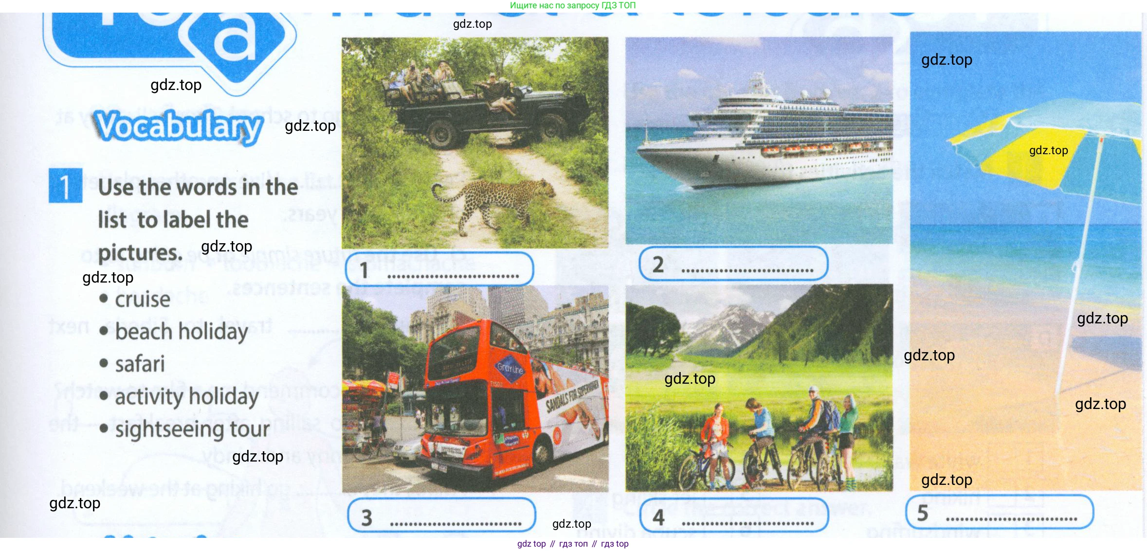 Английский язык (english), 5 класс Рабочая тетрадь (workbook), авторы: Ваулина Юлия Евгеньевна (Vaulina Julia), Дули Дженни (Dooley Jenny), Подоляко Ольга Евгеньевна (Podolyako Olga), Эванс Вирджиния (Evans Virginia), издательство Просвещение, Москва, 2023, жёлтого цвета, страница 63, номер 1, Условие 2023-2027
