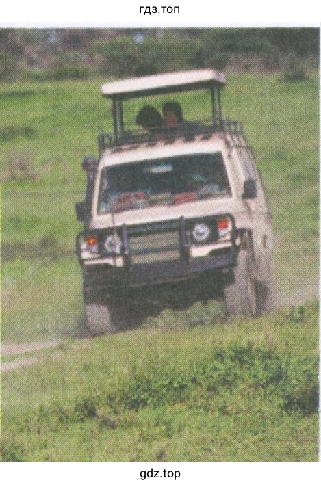 Рисунок. on SAFARI