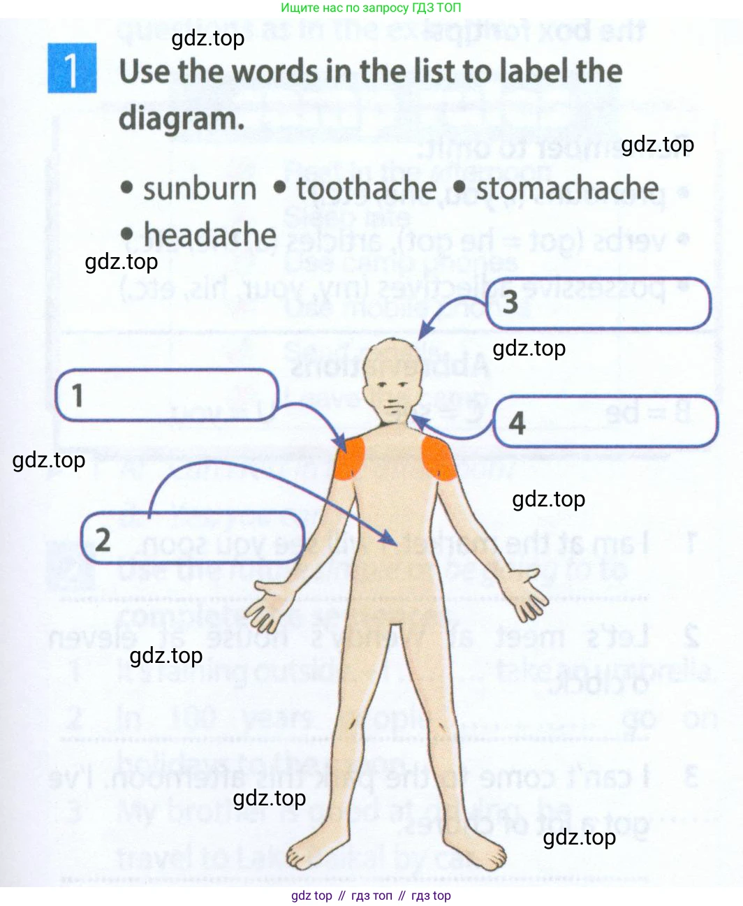 Английский язык (english), 5 класс Рабочая тетрадь (workbook), авторы: Ваулина Юлия Евгеньевна (Vaulina Julia), Дули Дженни (Dooley Jenny), Подоляко Ольга Евгеньевна (Podolyako Olga), Эванс Вирджиния (Evans Virginia), издательство Просвещение, Москва, 2023, жёлтого цвета, страница 65, номер 1, Условие 2023-2027