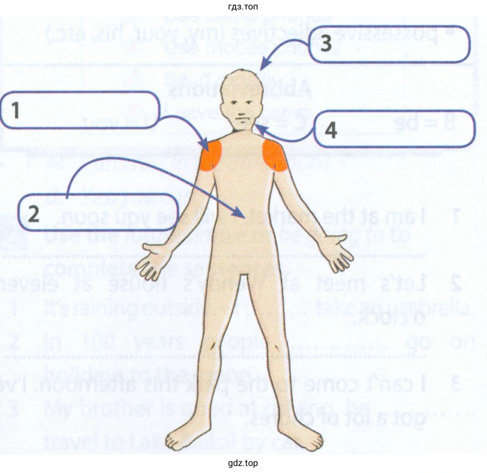 Рисунок. label the diagram