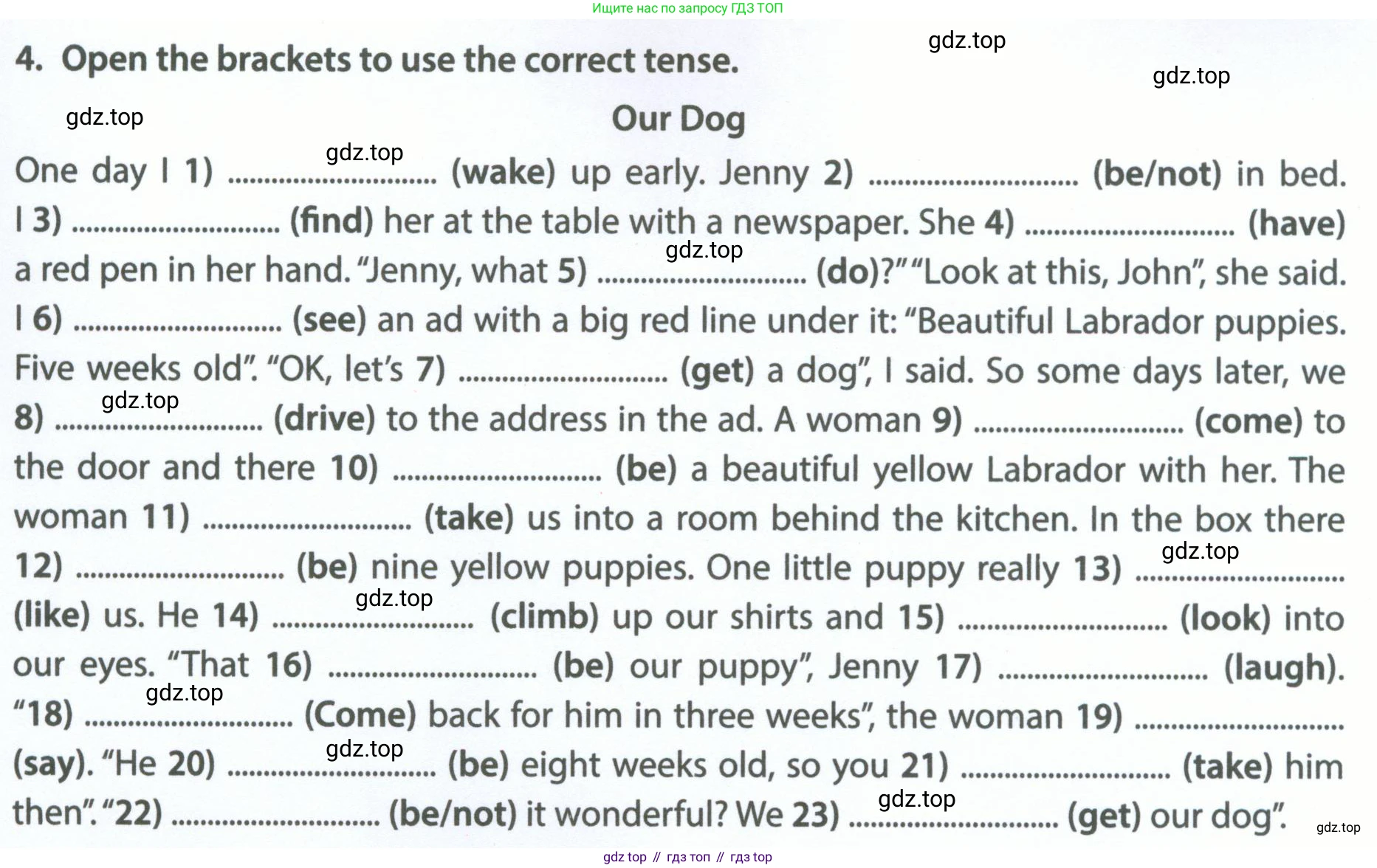 Английский язык (english), 5 класс Рабочая тетрадь (workbook), авторы: Ваулина Юлия Евгеньевна (Vaulina Julia), Дули Дженни (Dooley Jenny), Подоляко Ольга Евгеньевна (Podolyako Olga), Эванс Вирджиния (Evans Virginia), издательство Просвещение, Москва, 2023, жёлтого цвета, страница 85, номер 4, Условие 2023-2027