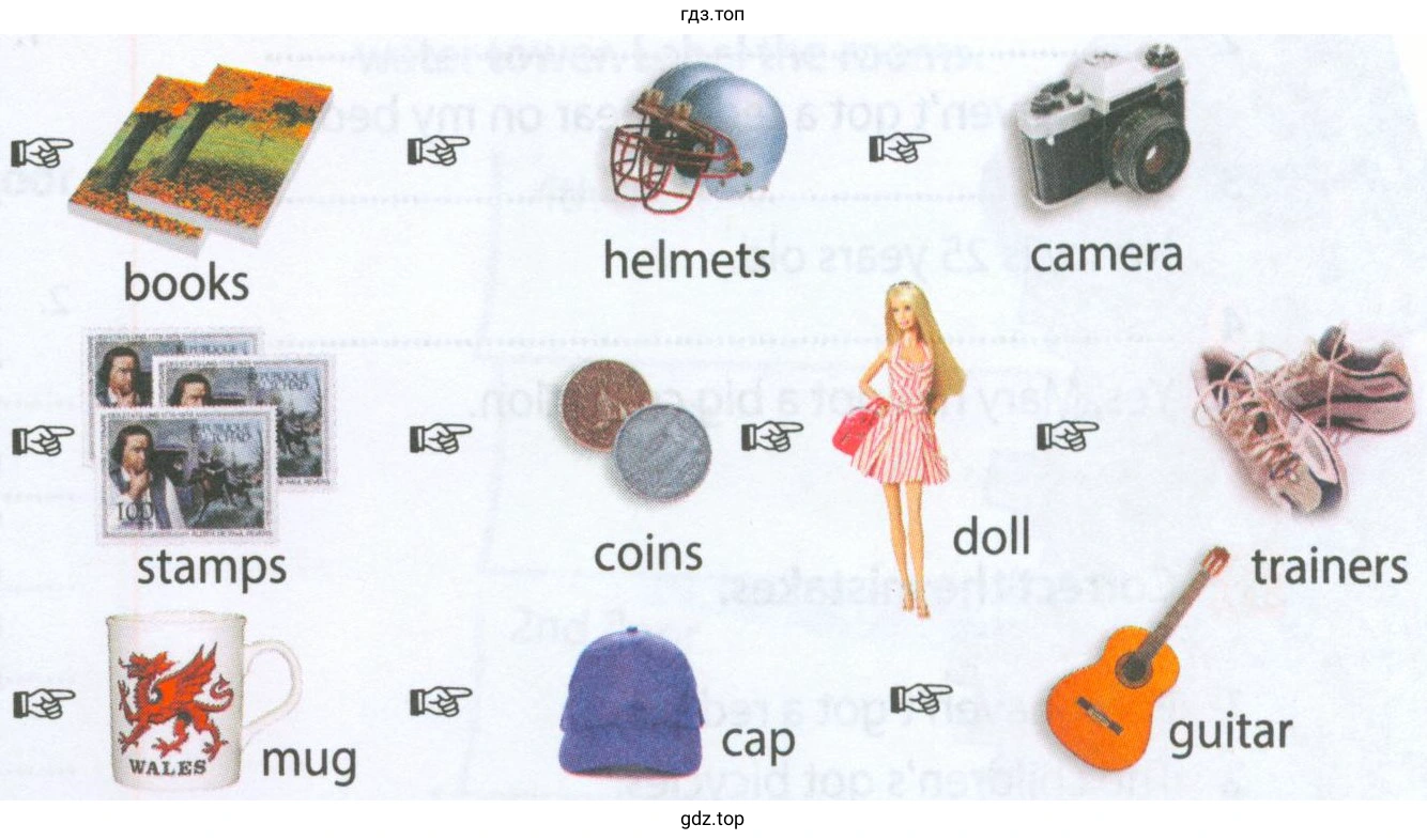 books helmets camera stamps coins doll trainers mug cap guitar