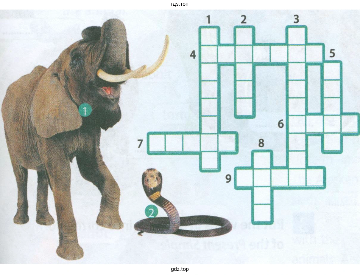Рисунок. the crossword puzzle.