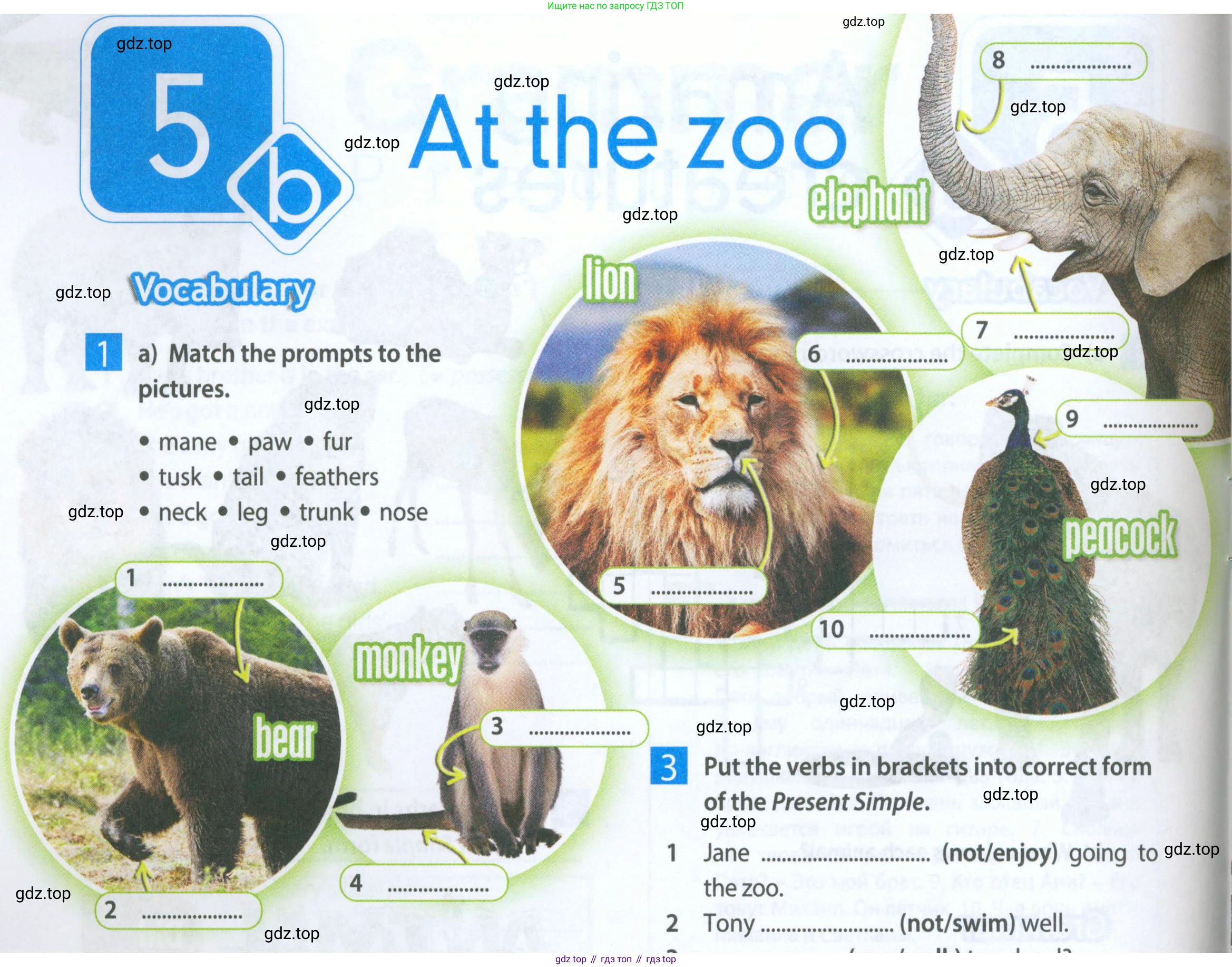 ГДЗ Английский язык (english), 5 класс Рабочая тетрадь (workbook), авторы: Ваулина Юлия Евгеньевна (Vaulina Julia), Дули Дженни (Dooley Jenny), Подоляко Ольга Евгеньевна (Podolyako Olga), Эванс Вирджиния (Evans Virginia), издательство Просвещение, Москва, 2023, жёлтого цвета, страница 34, номер 1, Условие 2023-2027