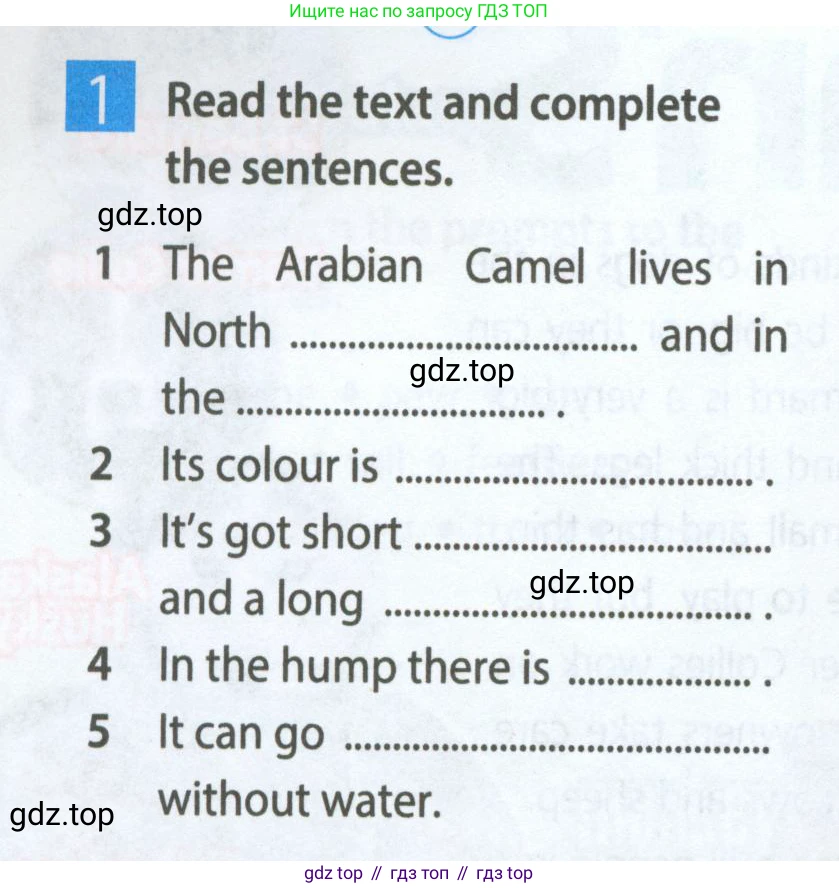 Английский язык (english), 5 класс Рабочая тетрадь (workbook), авторы: Ваулина Юлия Евгеньевна (Vaulina Julia), Дули Дженни (Dooley Jenny), Подоляко Ольга Евгеньевна (Podolyako Olga), Эванс Вирджиния (Evans Virginia), издательство Просвещение, Москва, 2023, жёлтого цвета, страница 36, номер 1, Условие 2023-2027