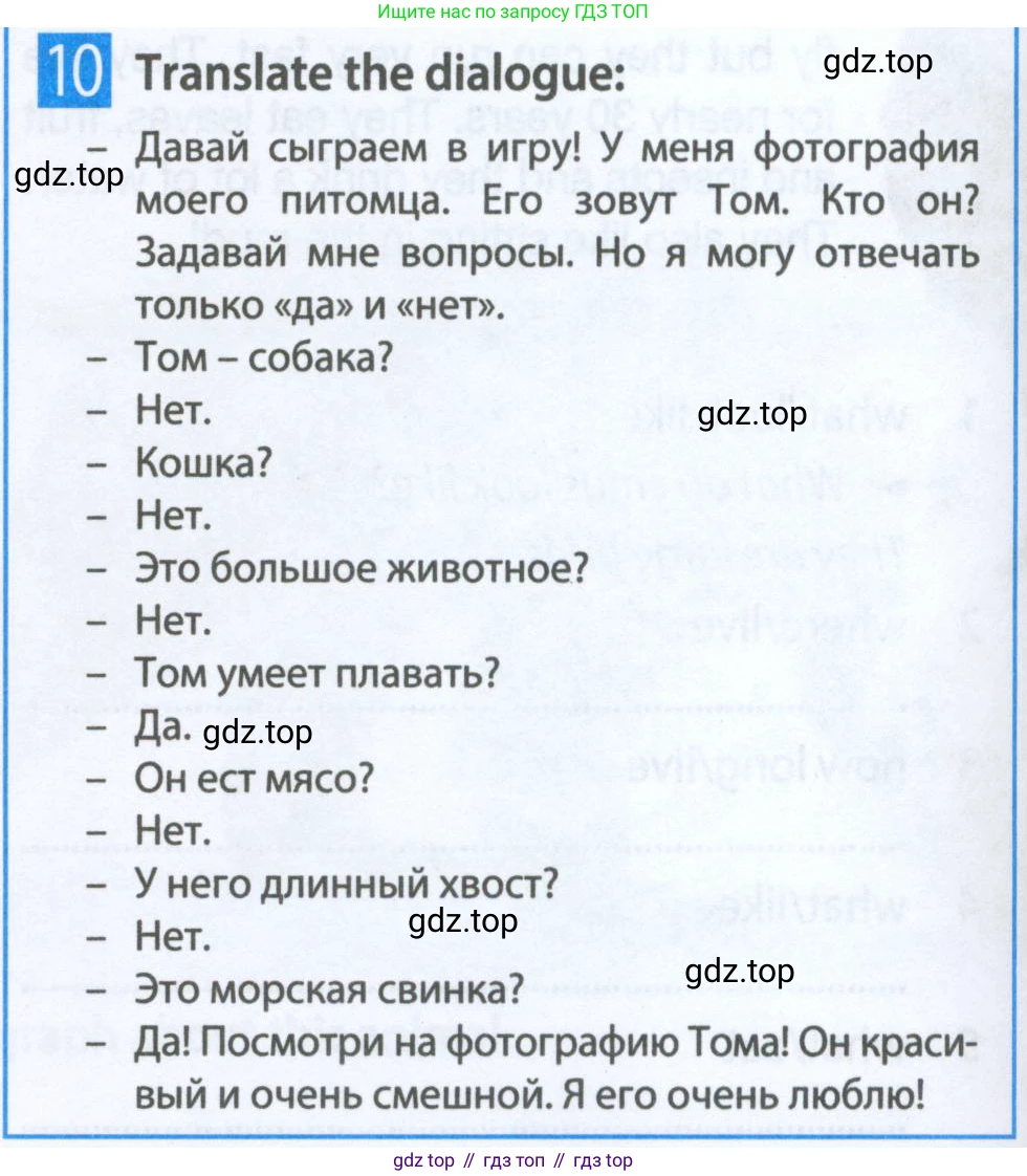 Английский язык (english), 5 класс Рабочая тетрадь (workbook), авторы: Ваулина Юлия Евгеньевна (Vaulina Julia), Дули Дженни (Dooley Jenny), Подоляко Ольга Евгеньевна (Podolyako Olga), Эванс Вирджиния (Evans Virginia), издательство Просвещение, Москва, 2023, жёлтого цвета, страница 38, номер 10, Условие 2023-2027