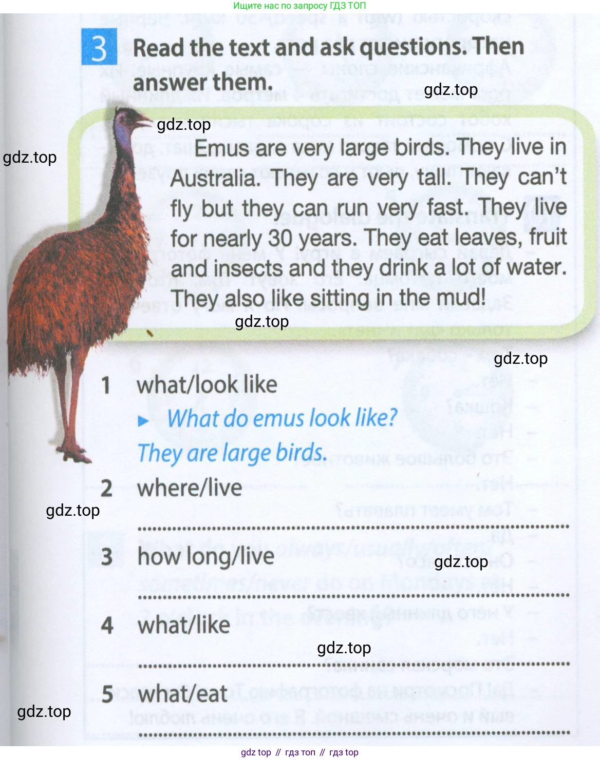 Английский язык (english), 5 класс Рабочая тетрадь (workbook), авторы: Ваулина Юлия Евгеньевна (Vaulina Julia), Дули Дженни (Dooley Jenny), Подоляко Ольга Евгеньевна (Podolyako Olga), Эванс Вирджиния (Evans Virginia), издательство Просвещение, Москва, 2023, жёлтого цвета, страница 37, номер 3, Условие 2023-2027