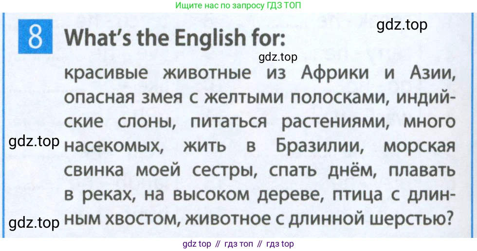 Английский язык (english), 5 класс Рабочая тетрадь (workbook), авторы: Ваулина Юлия Евгеньевна (Vaulina Julia), Дули Дженни (Dooley Jenny), Подоляко Ольга Евгеньевна (Podolyako Olga), Эванс Вирджиния (Evans Virginia), издательство Просвещение, Москва, 2023, жёлтого цвета, страница 38, номер 8, Условие 2023-2027