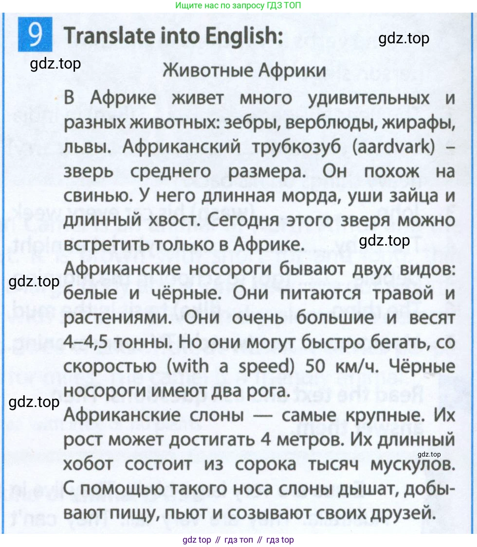 ГДЗ Английский язык (english), 5 класс Рабочая тетрадь (workbook), авторы: Ваулина Юлия Евгеньевна (Vaulina Julia), Дули Дженни (Dooley Jenny), Подоляко Ольга Евгеньевна (Podolyako Olga), Эванс Вирджиния (Evans Virginia), издательство Просвещение, Москва, 2023, жёлтого цвета, страница 38, номер 9, Условие 2023-2027