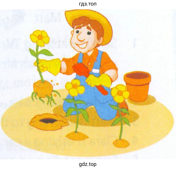Рисунок. gardener