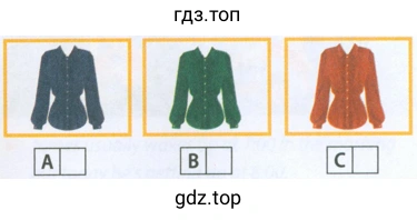 Рисунок. Which blouse is Angela thinking of buying?