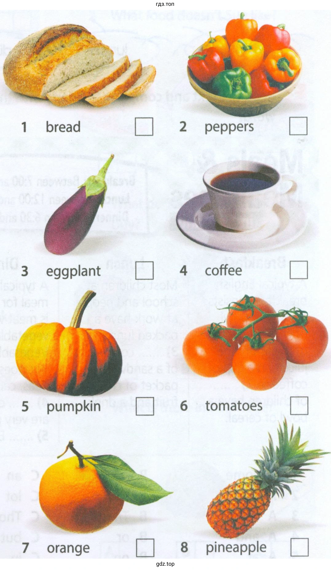  1 bread 2 peppers 3 eggplant 4 coffee 5 pumpkin 6 tomatoes 7 orange 8 pineapple 