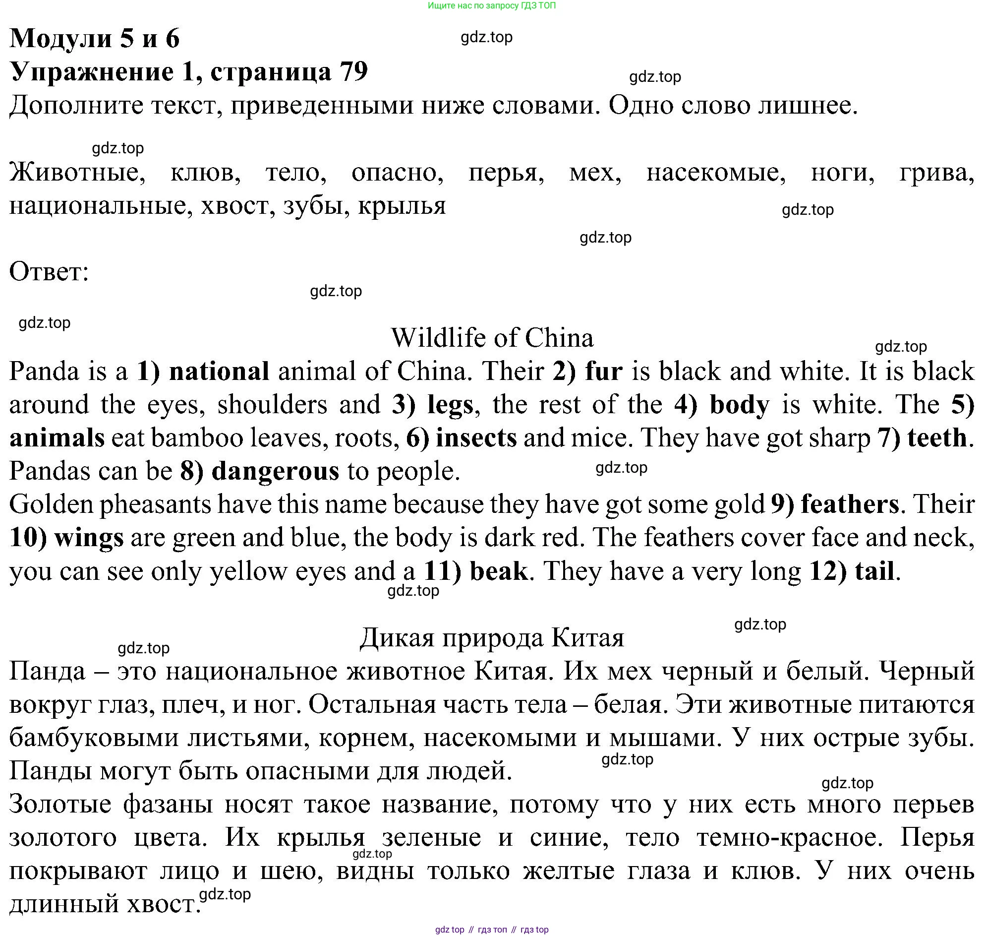 Английский язык (english), 5 класс Рабочая тетрадь (workbook), авторы: Ваулина Юлия Евгеньевна (Vaulina Julia), Дули Дженни (Dooley Jenny), Подоляко Ольга Евгеньевна (Podolyako Olga), Эванс Вирджиния (Evans Virginia), издательство Просвещение, Москва, 2023, жёлтого цвета, страница 79, номер 1, Решение 1 (2023-2027)