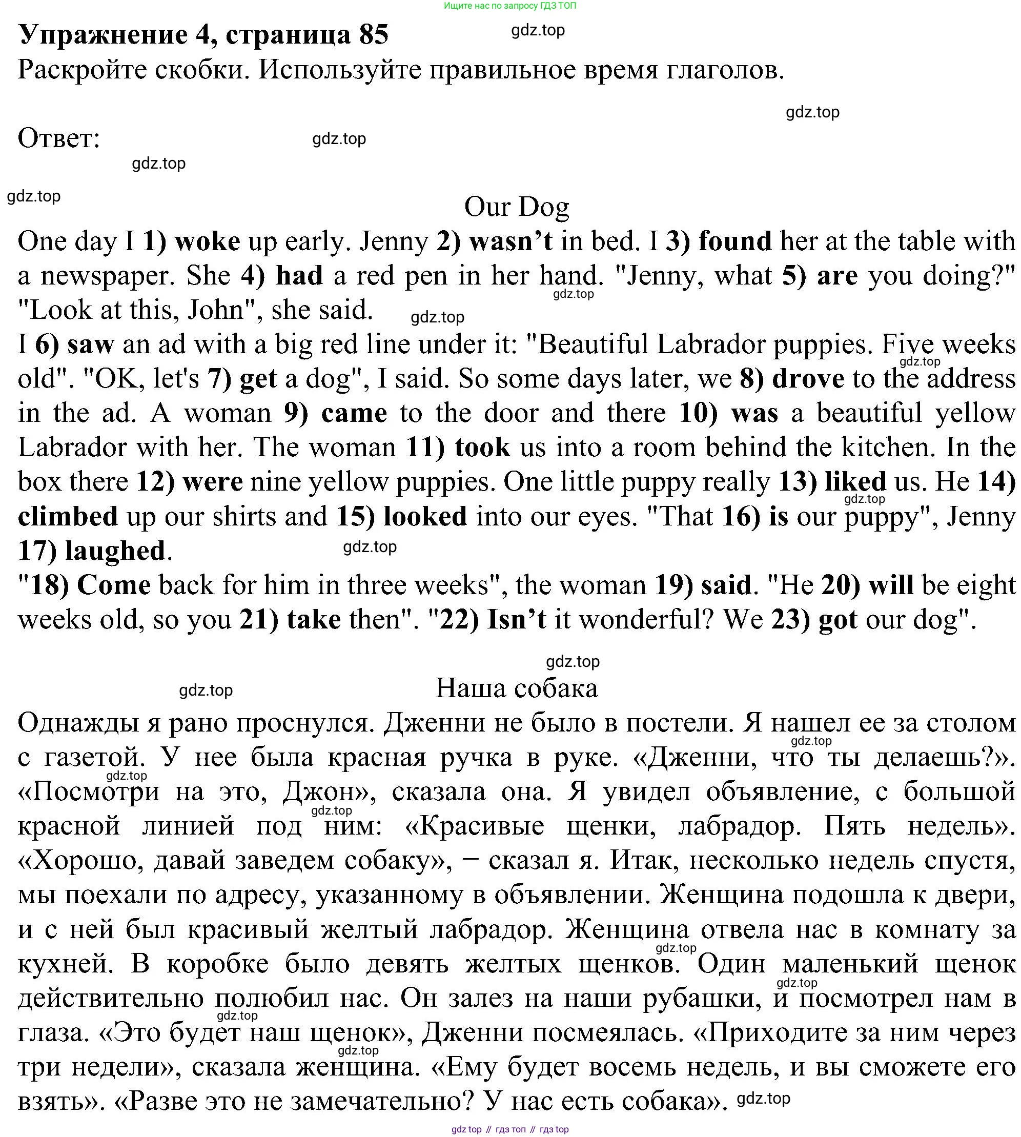 Английский язык (english), 5 класс Рабочая тетрадь (workbook), авторы: Ваулина Юлия Евгеньевна (Vaulina Julia), Дули Дженни (Dooley Jenny), Подоляко Ольга Евгеньевна (Podolyako Olga), Эванс Вирджиния (Evans Virginia), издательство Просвещение, Москва, 2023, жёлтого цвета, страница 85, номер 4, Решение 1 (2023-2027)