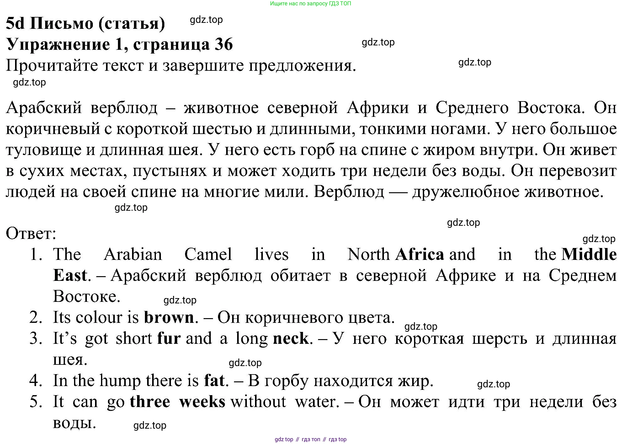Английский язык (english), 5 класс Рабочая тетрадь (workbook), авторы: Ваулина Юлия Евгеньевна (Vaulina Julia), Дули Дженни (Dooley Jenny), Подоляко Ольга Евгеньевна (Podolyako Olga), Эванс Вирджиния (Evans Virginia), издательство Просвещение, Москва, 2023, жёлтого цвета, страница 36, номер 1, Решение 1 (2023-2027)